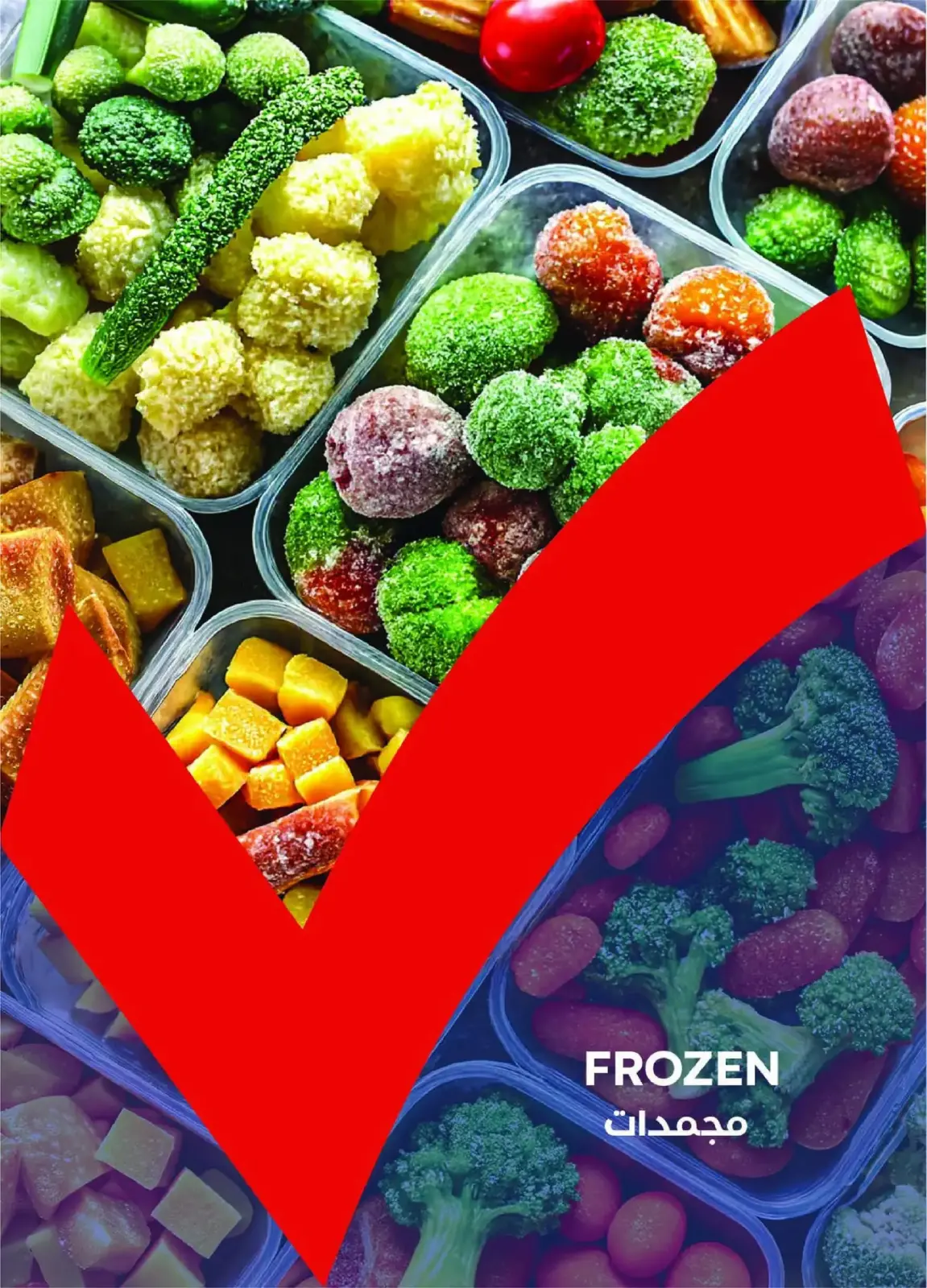 Página 17 en ofertas de diciembre en Mercado Metro Egipto