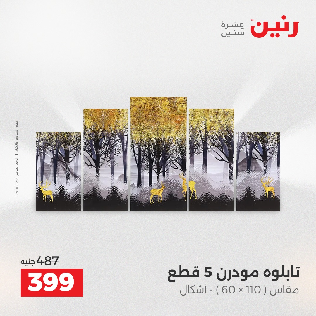 عروض رنين مصر من 18 حتى 20 ديسمبر 2025 عروض قطع الديكور