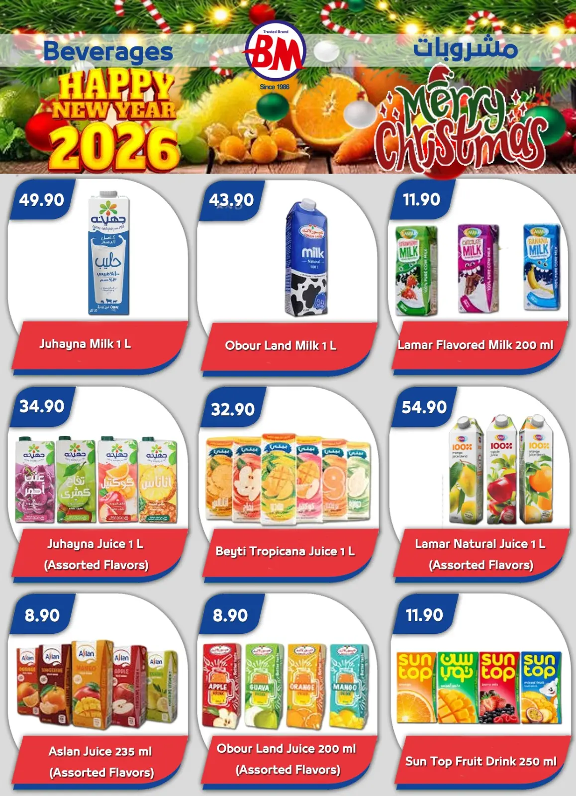 Página 24 en ofertas de navidad en Mercado de Bassem Egipto