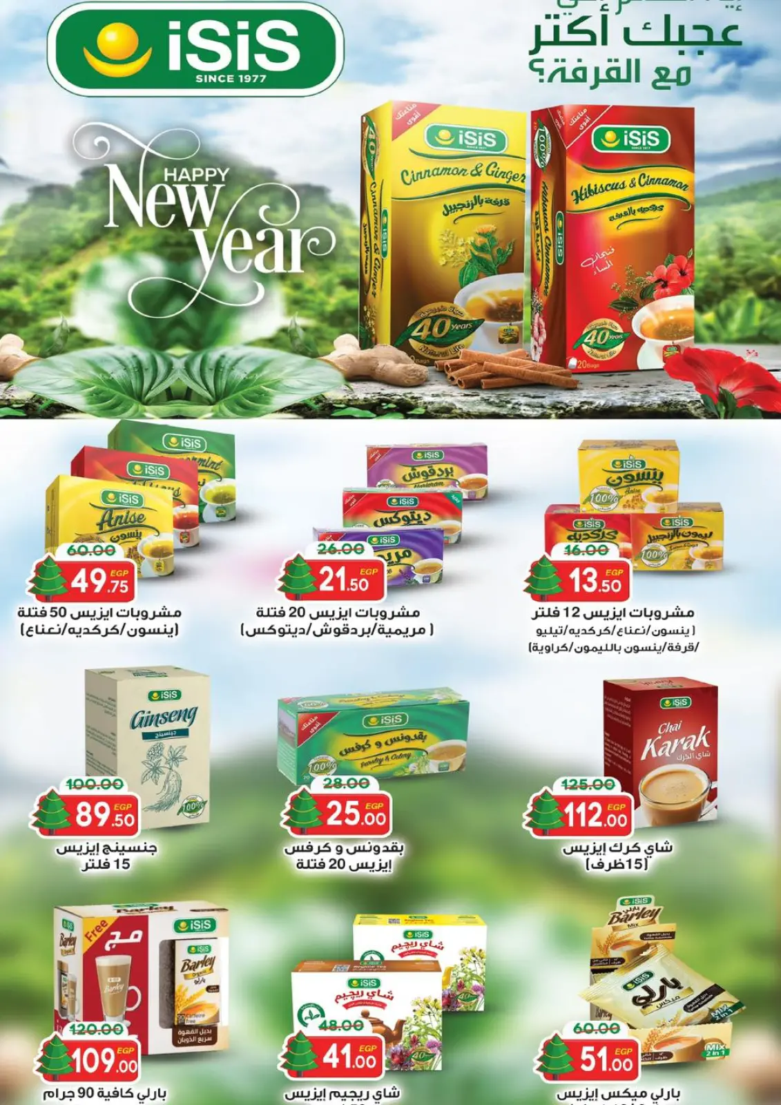 Page 29 in Happy New Year offers at Galhom Market Egypt