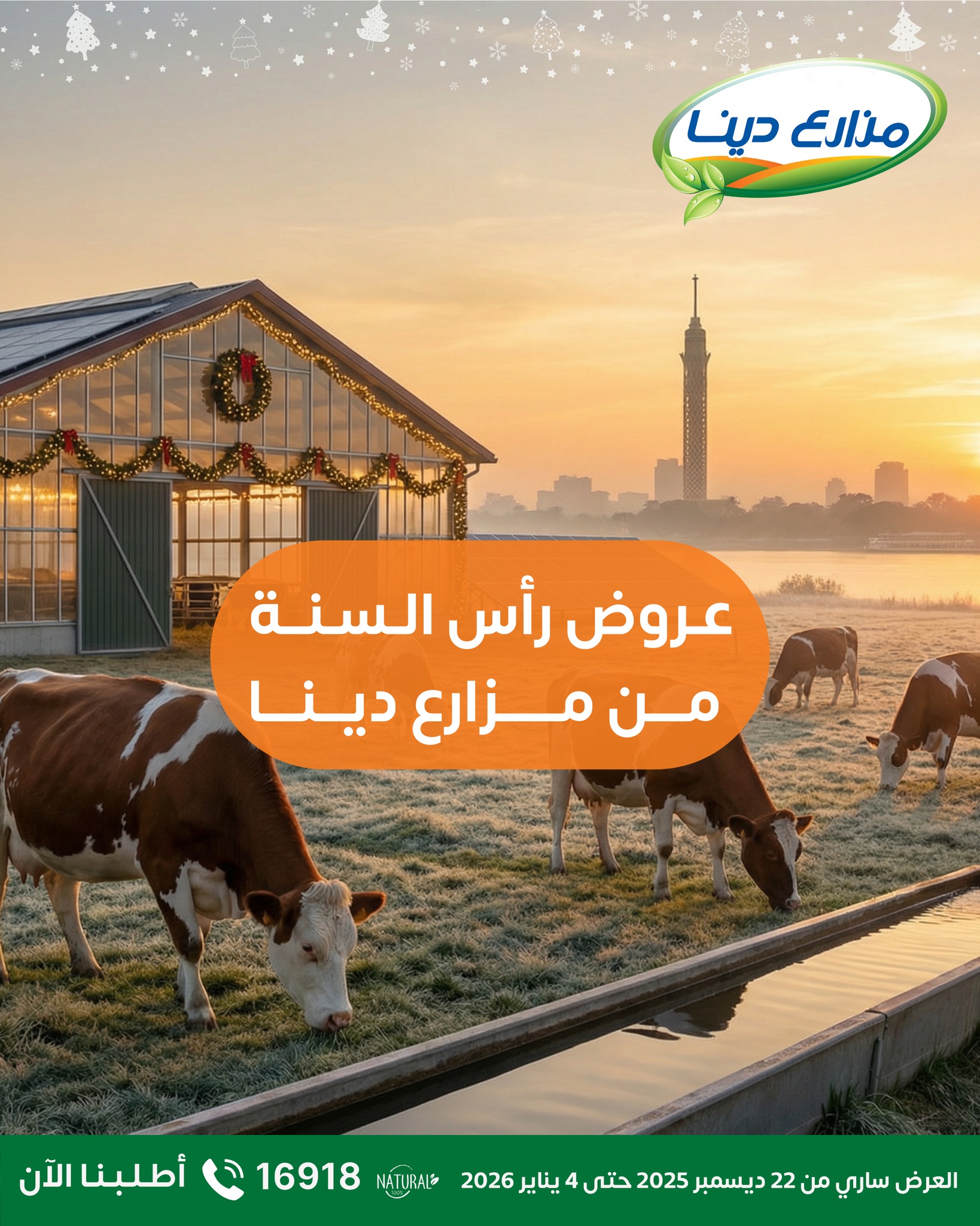 Dina Farms Egypt Offers from 22 December to 4 January 2026 New Year Offers - Page 1