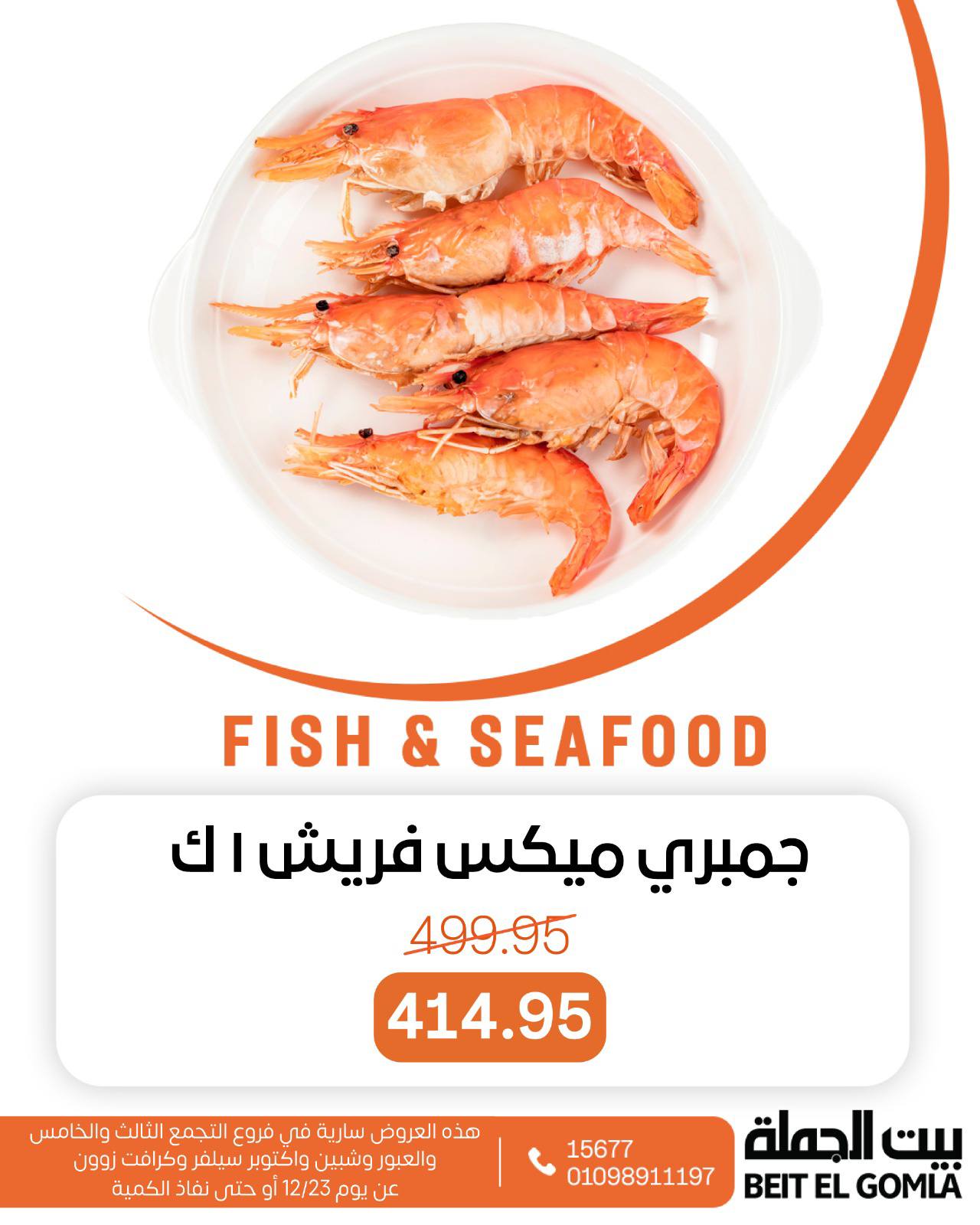 عروض بيت الجملة مصر الثلاثاء 23 ديسمبر 2025 عروض الأسماك