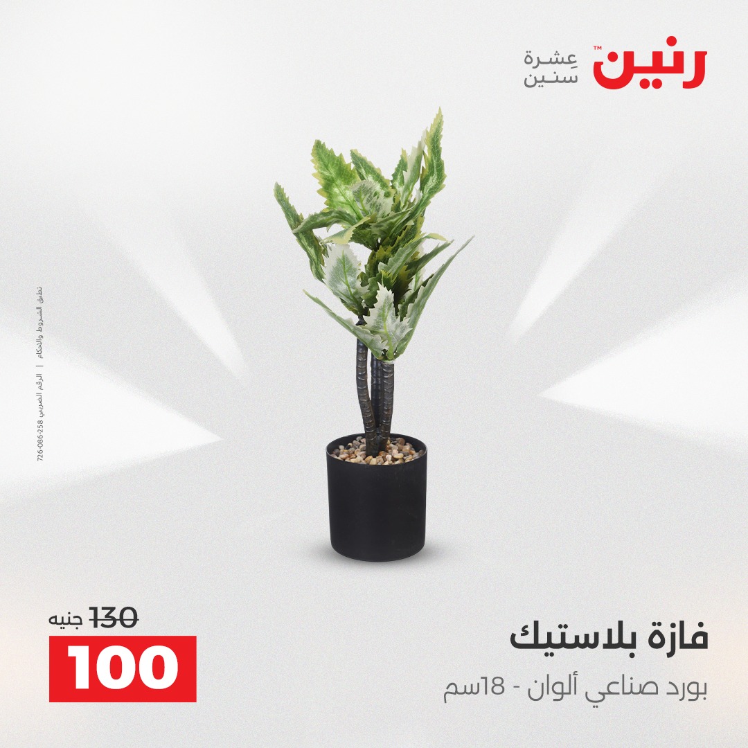 عروض رنين مصر من 23 حتى 24 ديسمبر 2025 عروض قطع الديكور