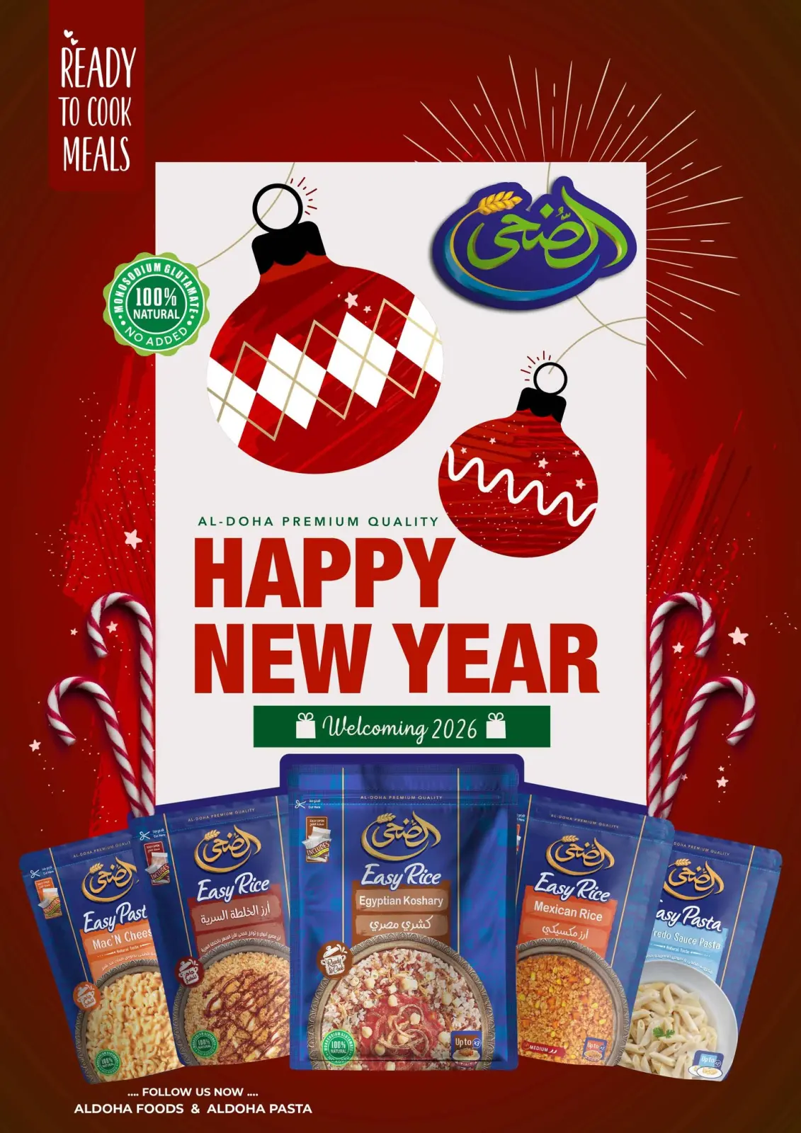 Page 23 in Christmas Offers at Mekkawy Market Egypt