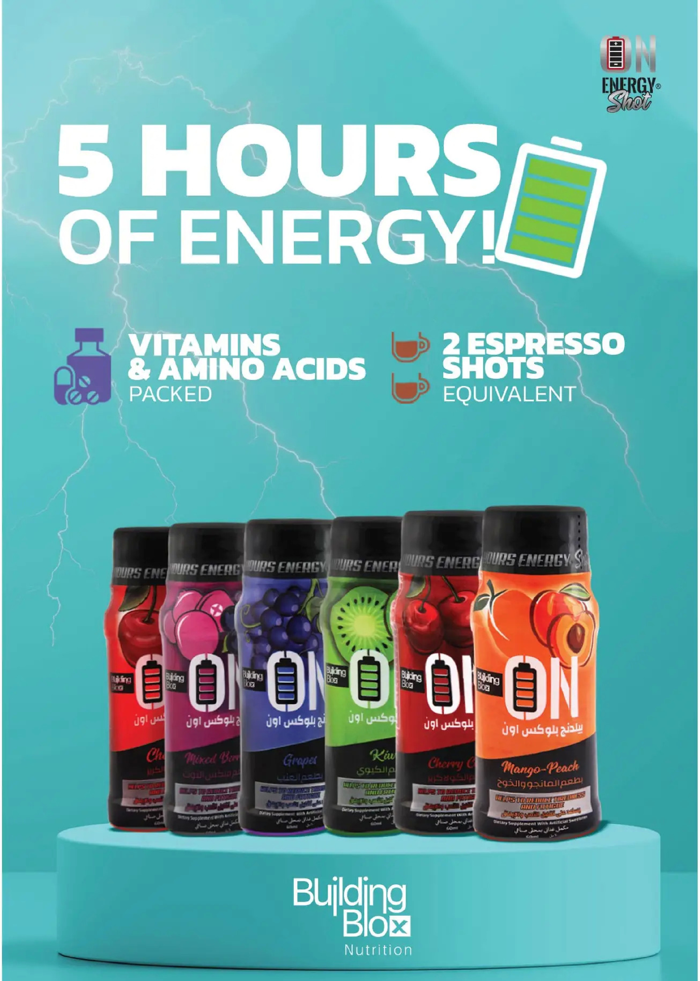 Royal House Egypt Offers from 25 December to 20 January 2026 Monthly magazine of offers