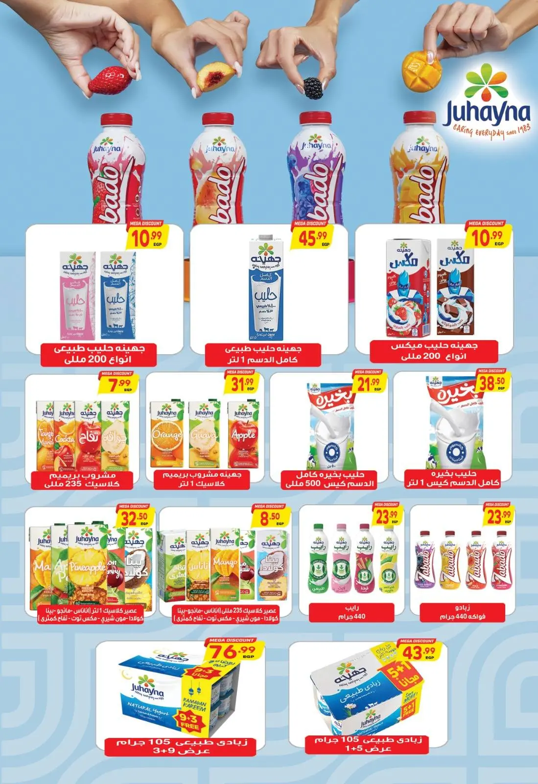 Page 29 in New Year's Offers at Al Hussiny Super market Egypt