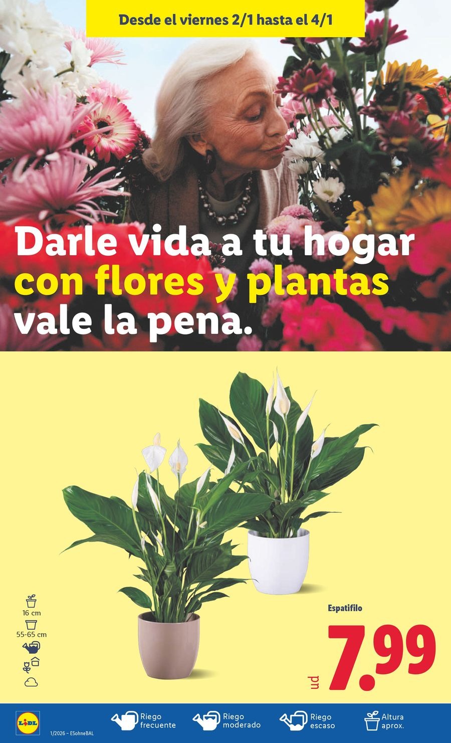 Ofertas de Lidl España de 29 diciembre a 4 enero 2026 ofertas semanales