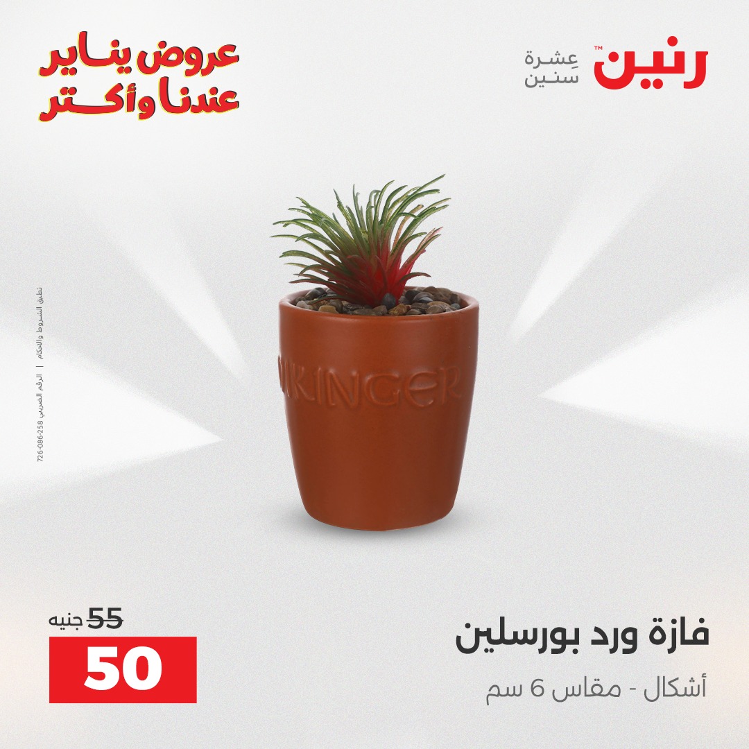 عروض رنين مصر من 28 حتى 29 ديسمبر 2025 عروض قطع الديكور