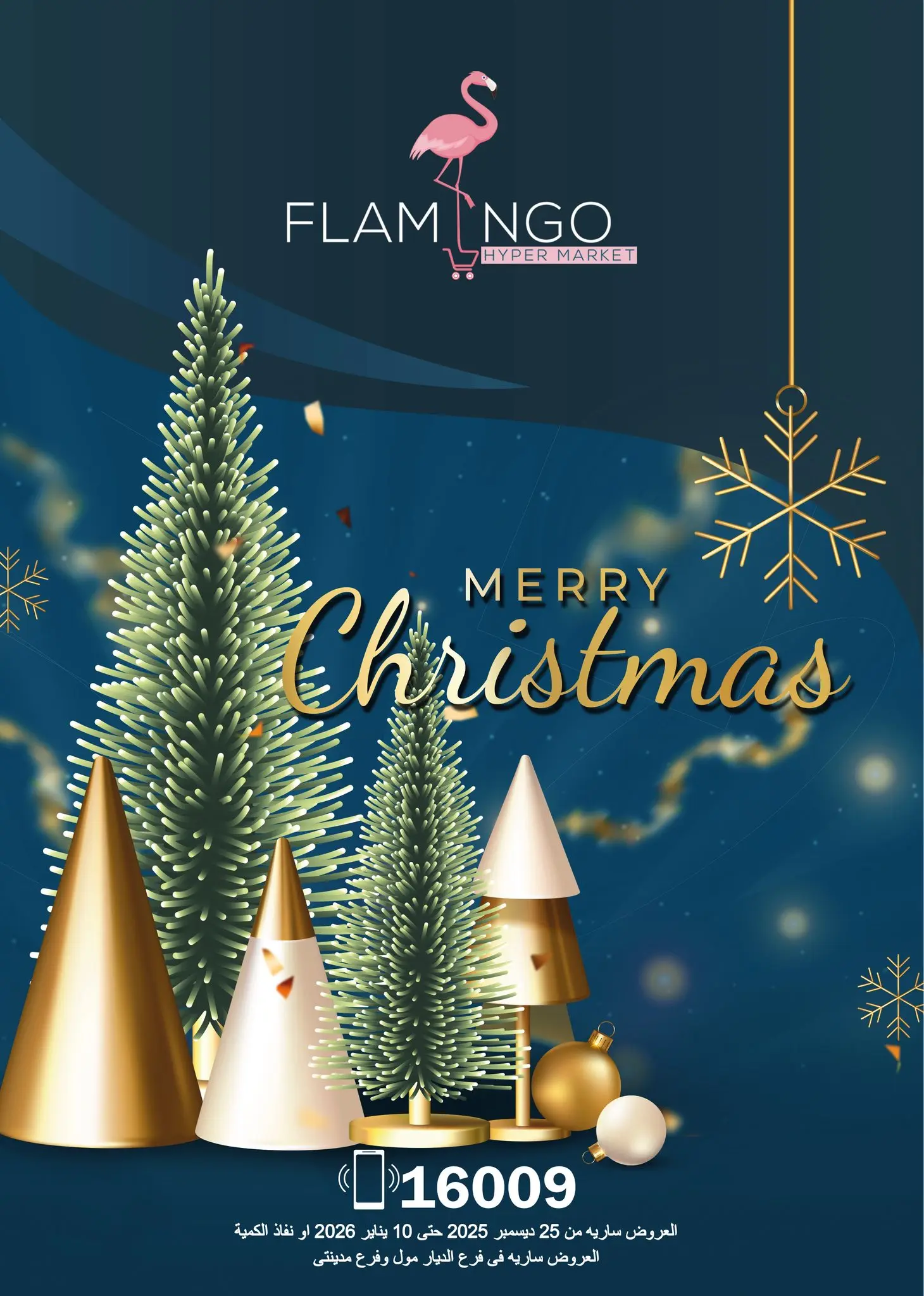 Flamingo Hypermarket Egypt Offers from 25 December to 10 January 2026 Christmas Offers - Page 1