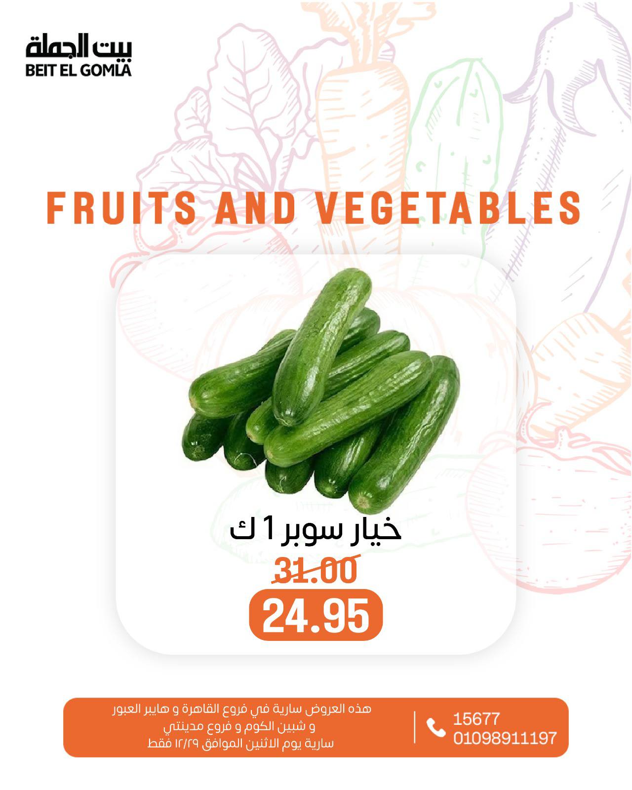 عروض بيت الجملة مصر الاثنين 29 ديسمبر 2025 عروض الخضار والفاكهة