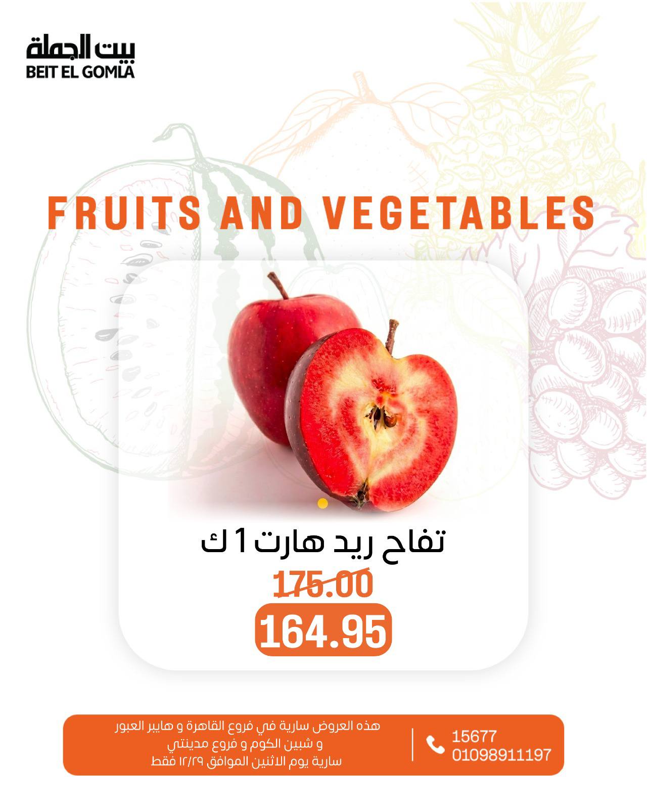 عروض بيت الجملة مصر الاثنين 29 ديسمبر 2025 عروض الخضار والفاكهة