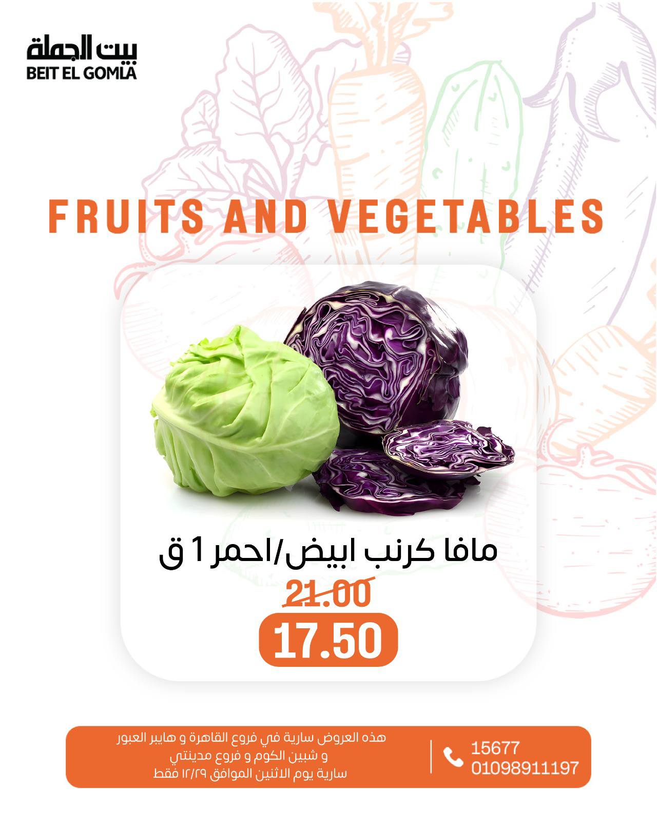 عروض بيت الجملة مصر الاثنين 29 ديسمبر 2025 عروض الخضار والفاكهة