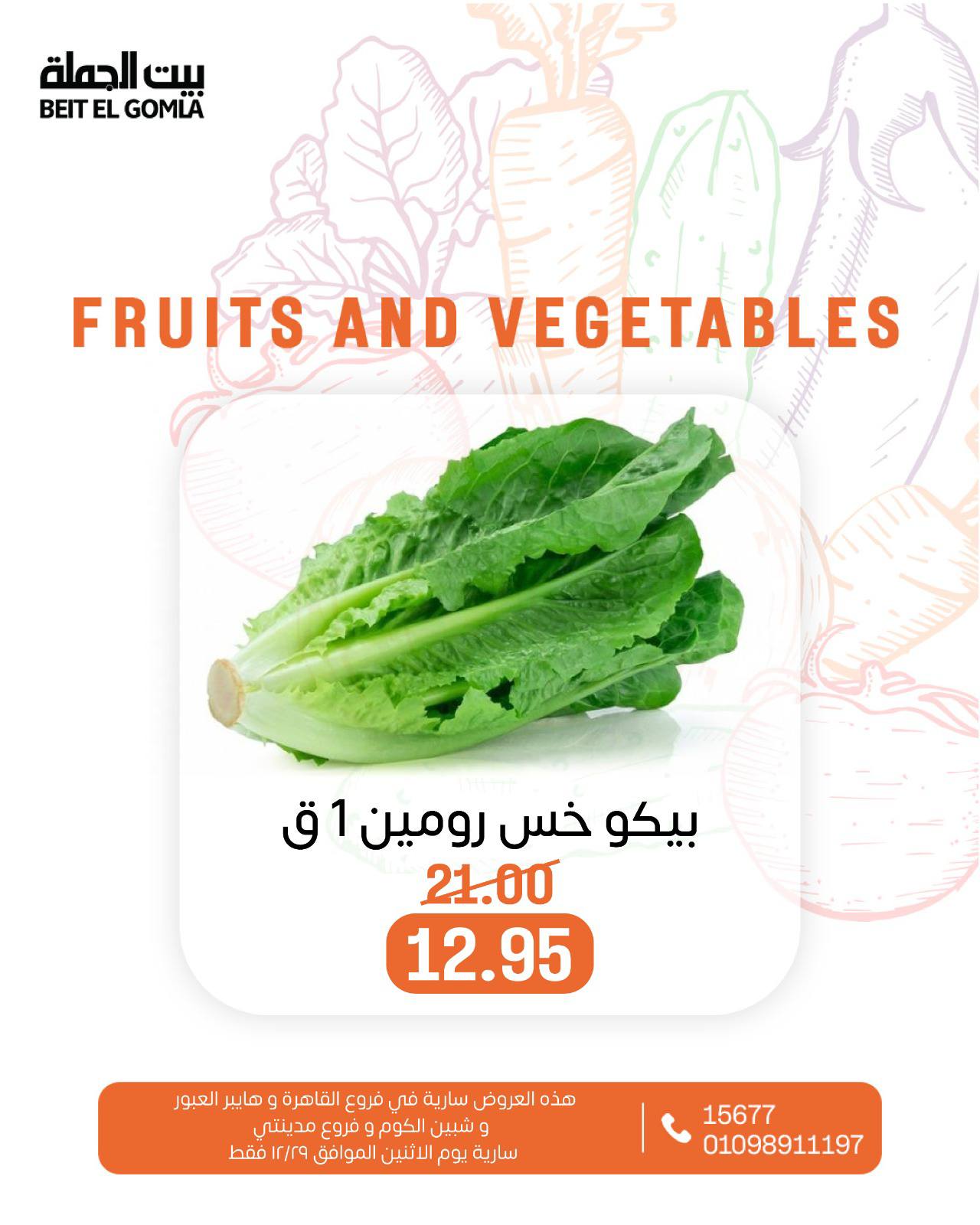 عروض بيت الجملة مصر الاثنين 29 ديسمبر 2025 عروض الخضار والفاكهة