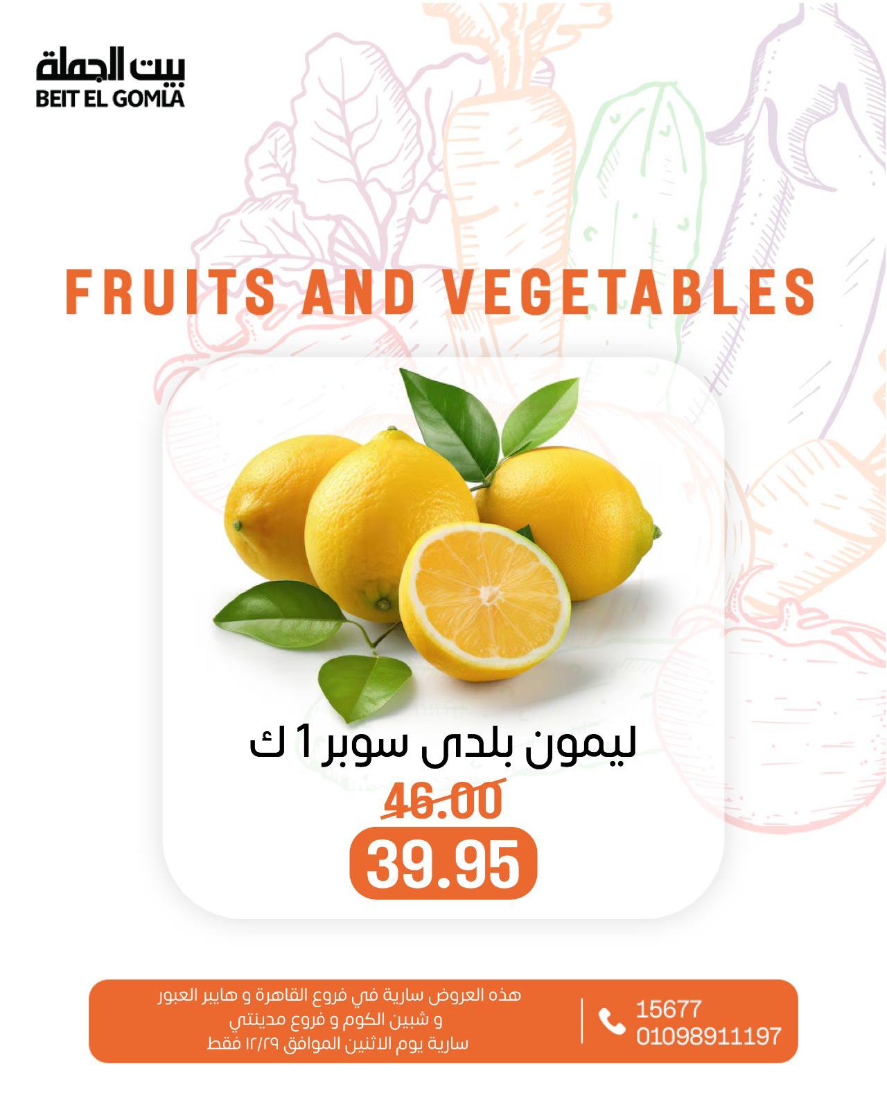 عروض بيت الجملة مصر الاثنين 29 ديسمبر 2025 عروض الخضار والفاكهة