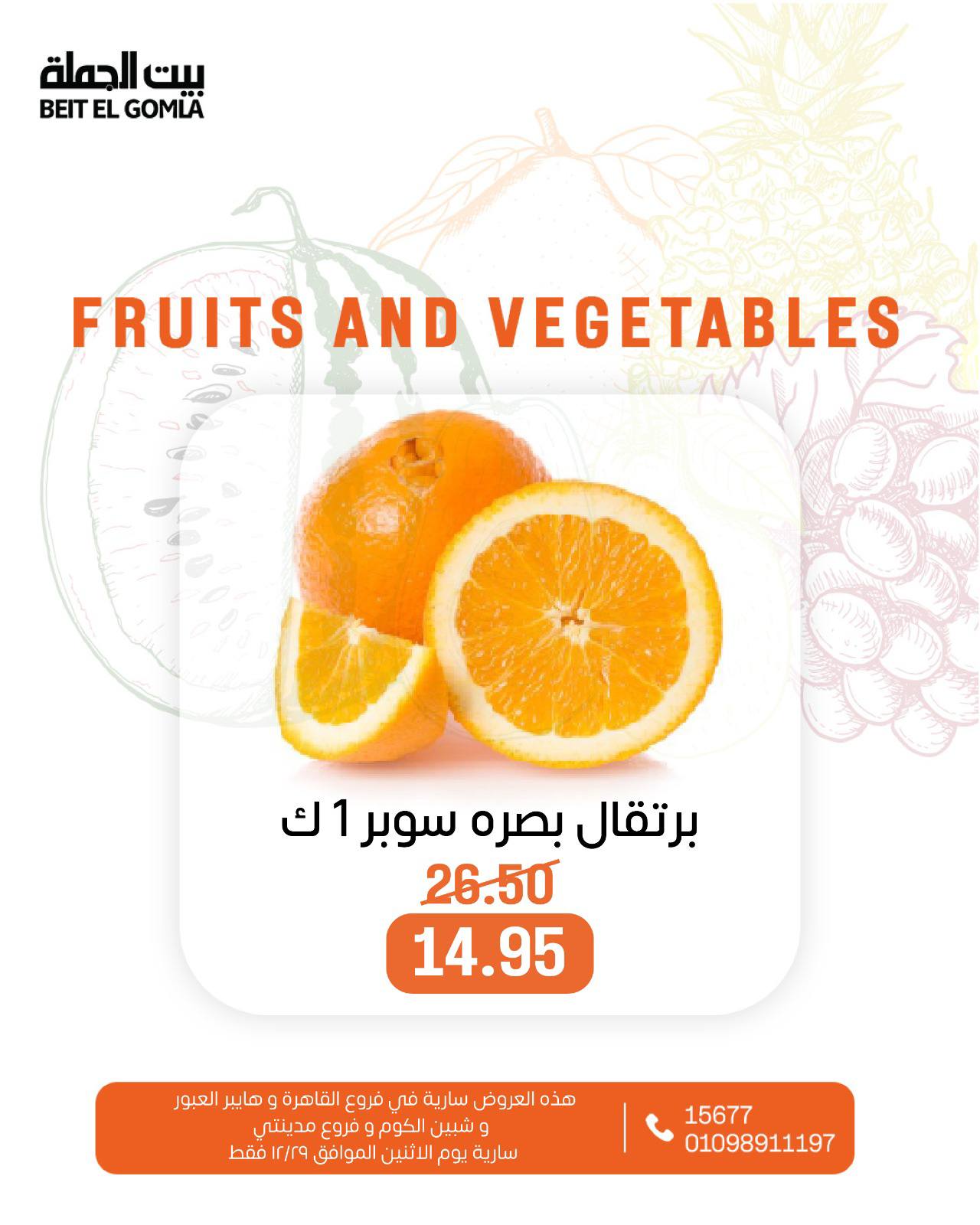 عروض بيت الجملة مصر الاثنين 29 ديسمبر 2025 عروض الخضار والفاكهة