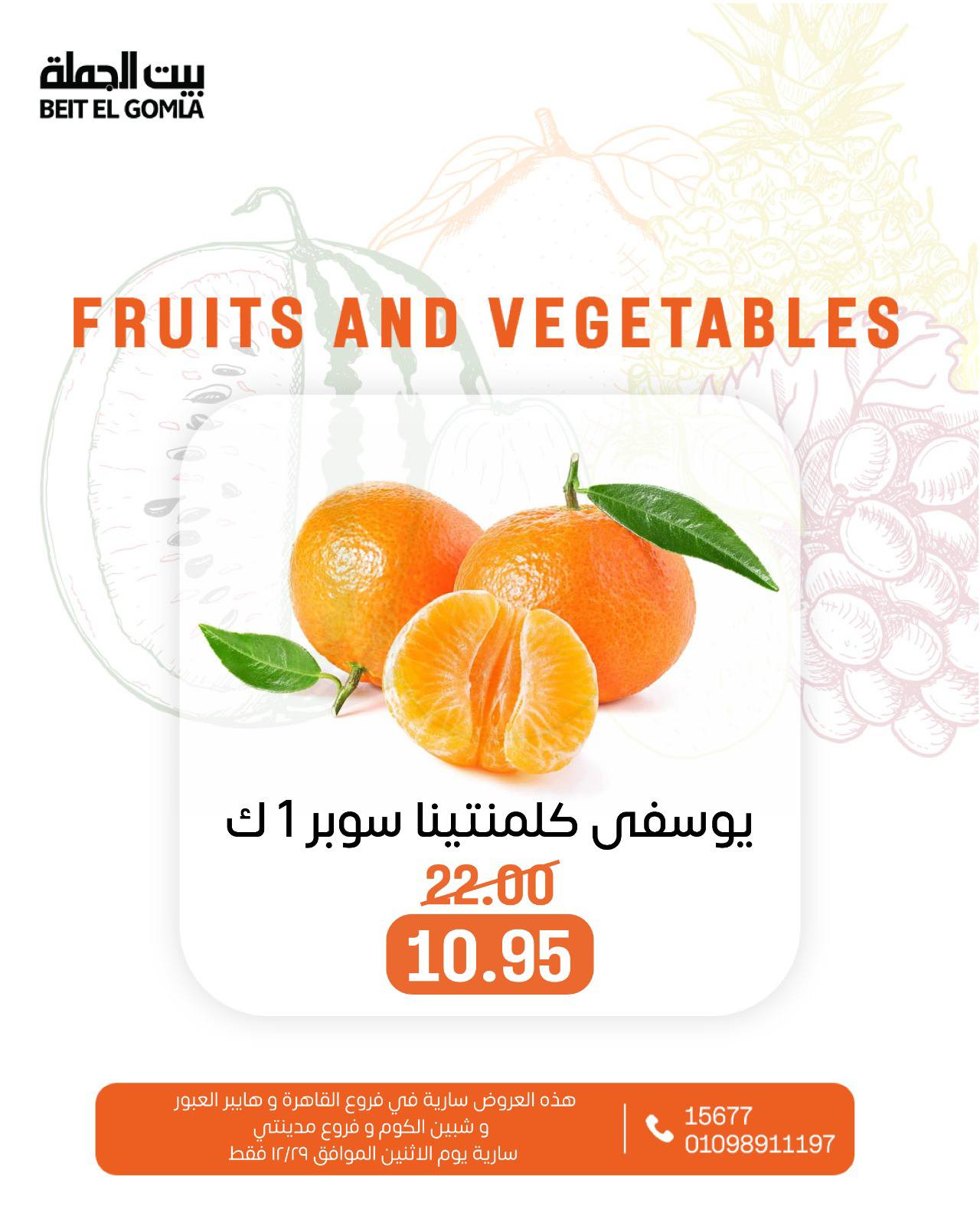 عروض بيت الجملة مصر الاثنين 29 ديسمبر 2025 عروض الخضار والفاكهة