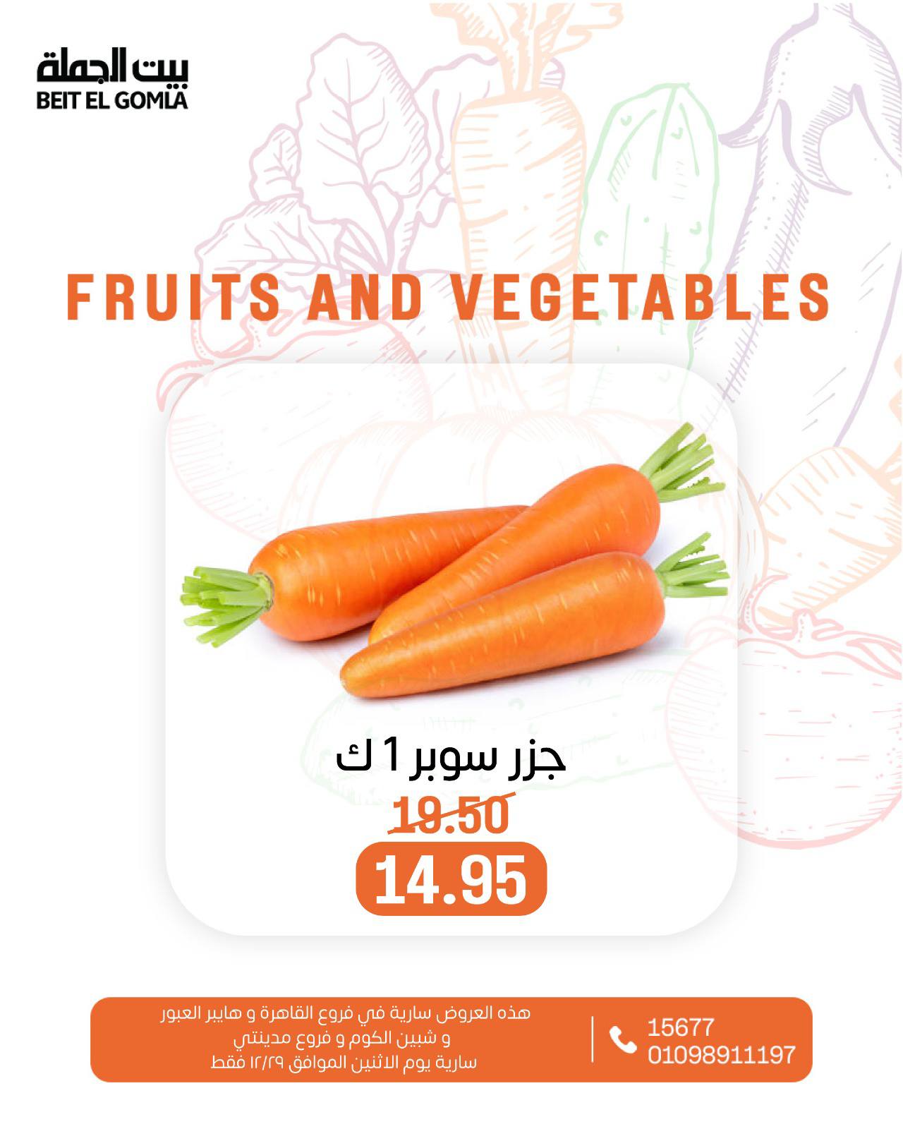 عروض بيت الجملة مصر الاثنين 29 ديسمبر 2025 عروض الخضار والفاكهة