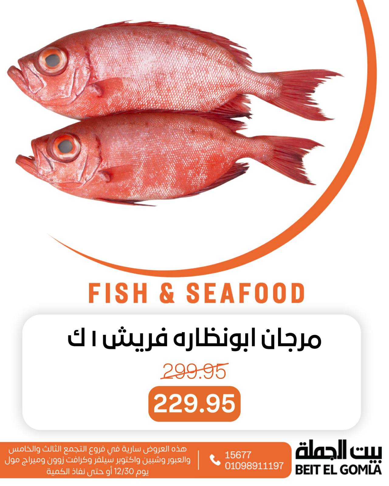 عروض بيت الجملة مصر الثلاثاء 30 ديسمبر 2025 عروض الأسماك