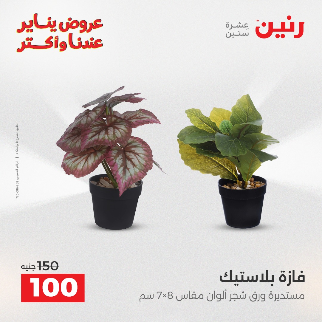 عروض رنين مصر من 30 حتى 31 ديسمبر 2025 عروض قطع الديكور