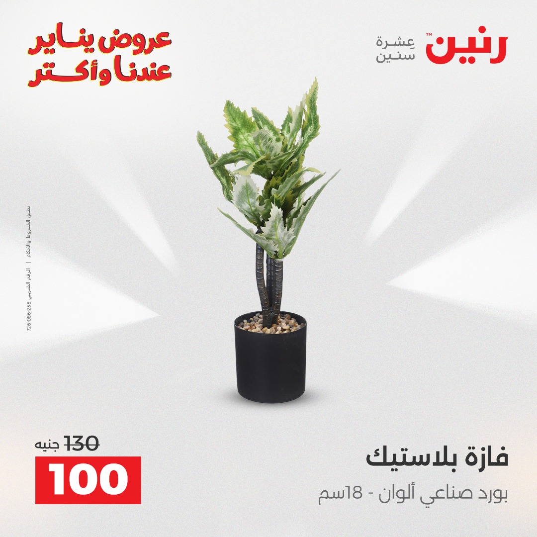 عروض رنين مصر من 30 حتى 31 ديسمبر 2025 عروض قطع الديكور