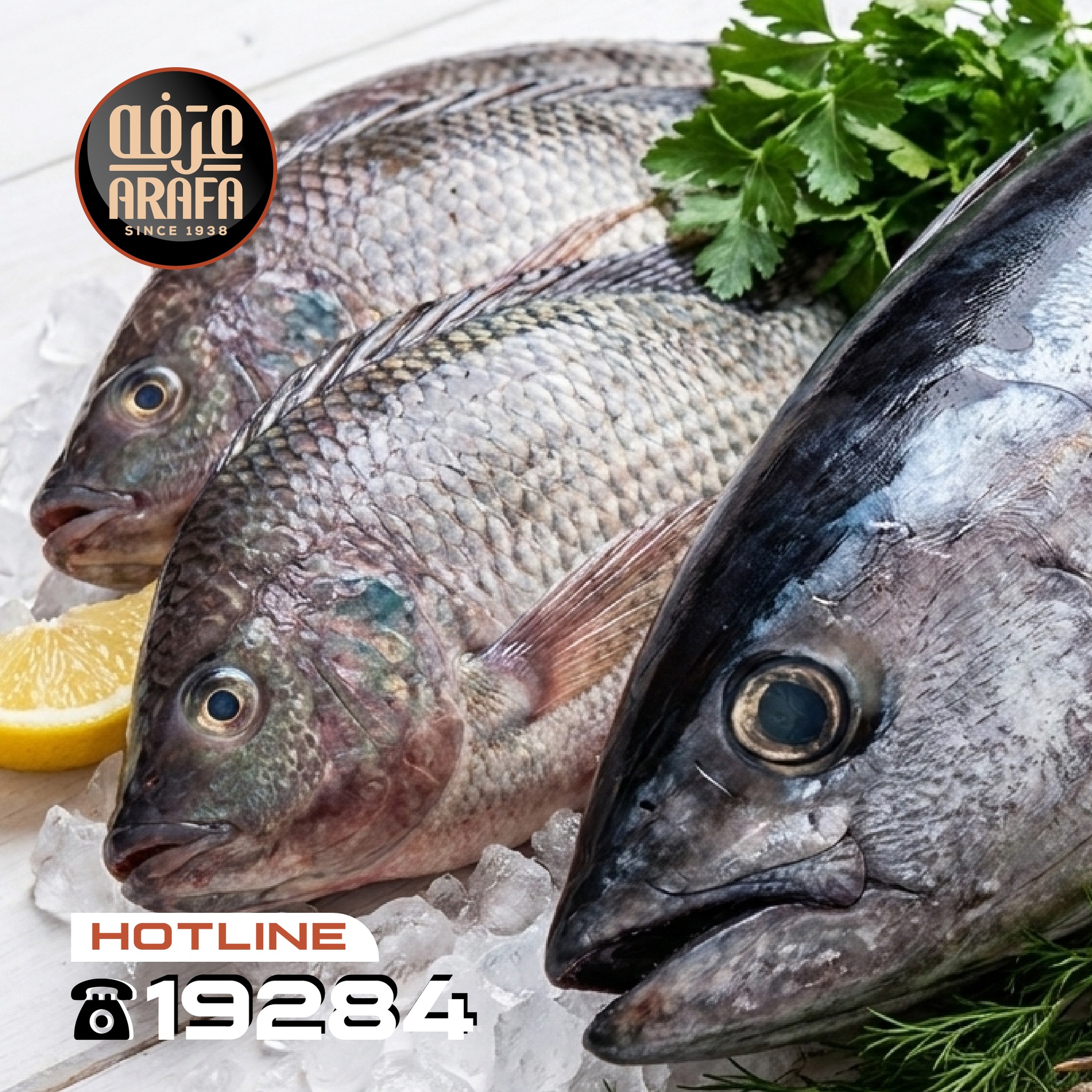 عروض عرفة ماركت مصر من 31 ديسمبر حتى 1 يناير 2026 عروض حلقة الأسماك