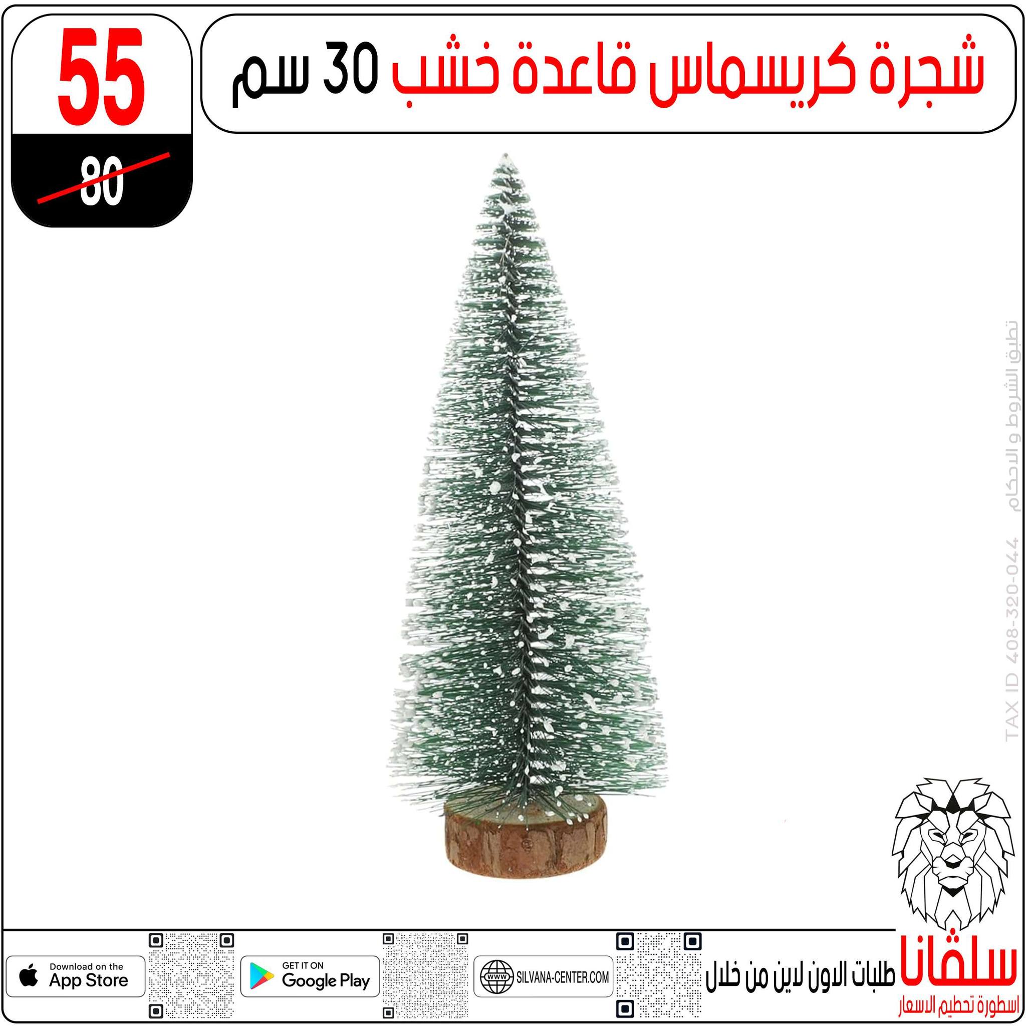 Offres centre silvana Egypte de 30 décembre à 5 janvier 2026 Offres de fin d'année