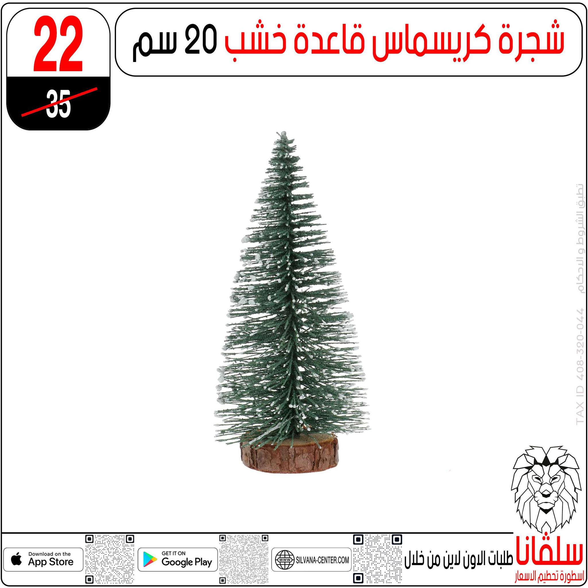 Offres centre silvana Egypte de 30 décembre à 5 janvier 2026 Offres de fin d'année