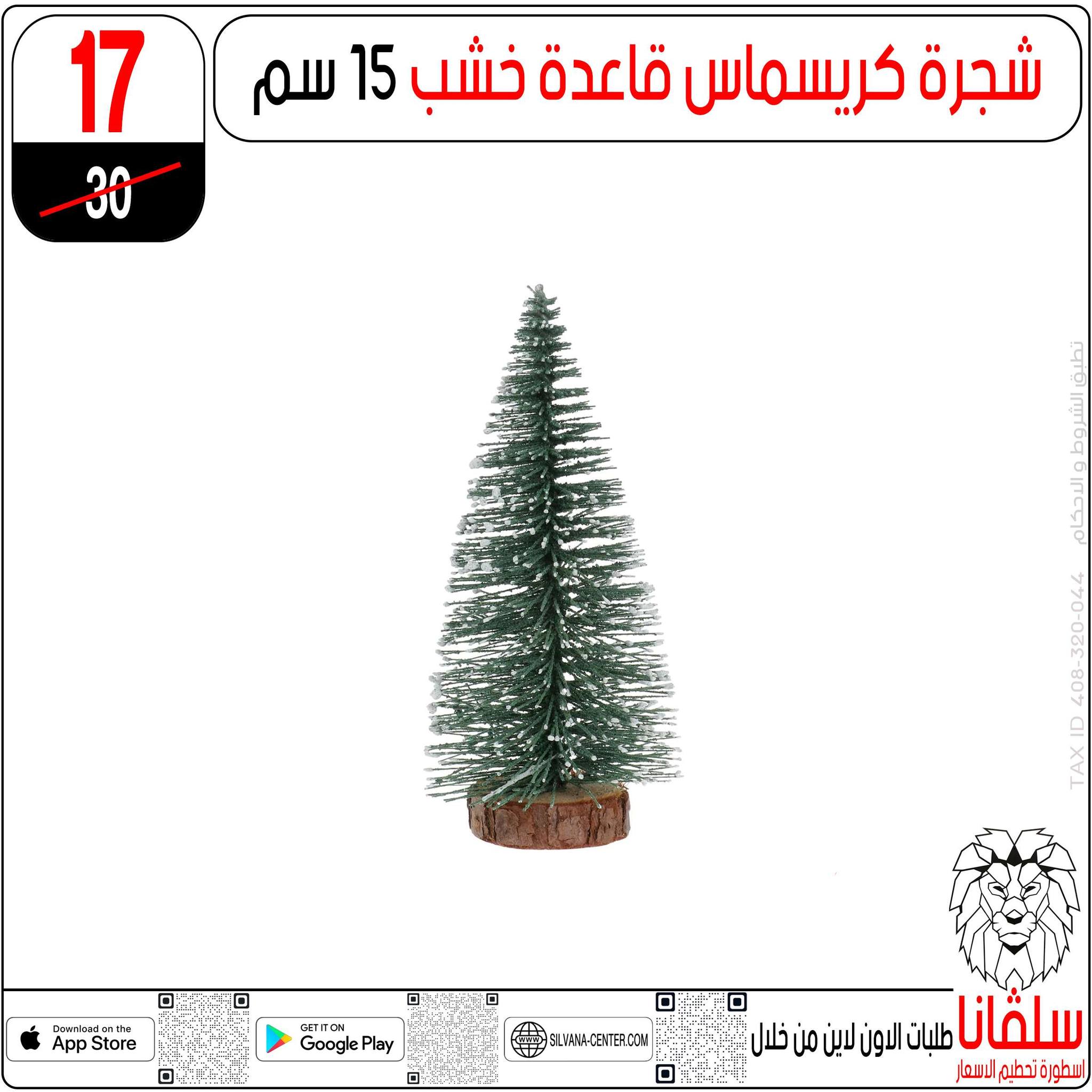 Offres centre silvana Egypte de 30 décembre à 5 janvier 2026 Offres de fin d'année