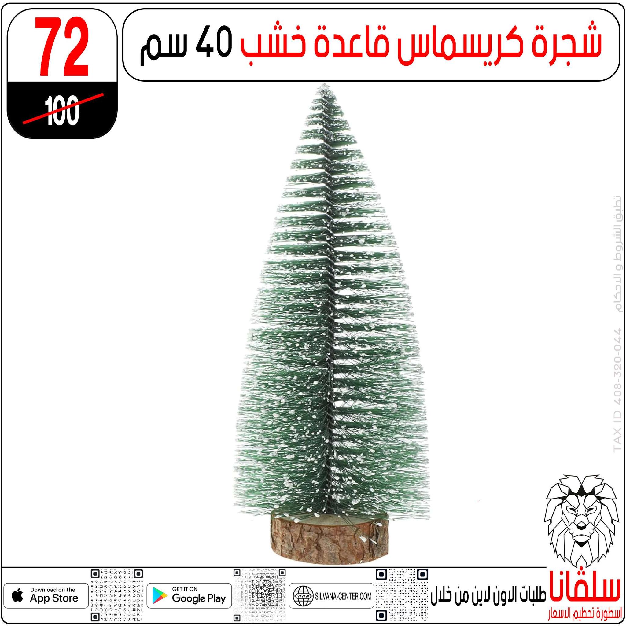 Offres centre silvana Egypte de 30 décembre à 5 janvier 2026 Offres de fin d'année