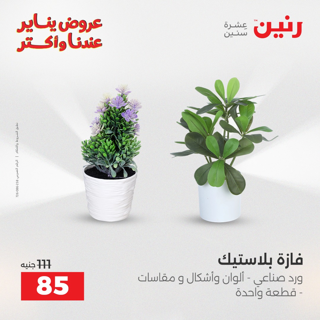 عروض رنين مصر من 1 حتى 3 يناير 2026 عروض قطع الديكور