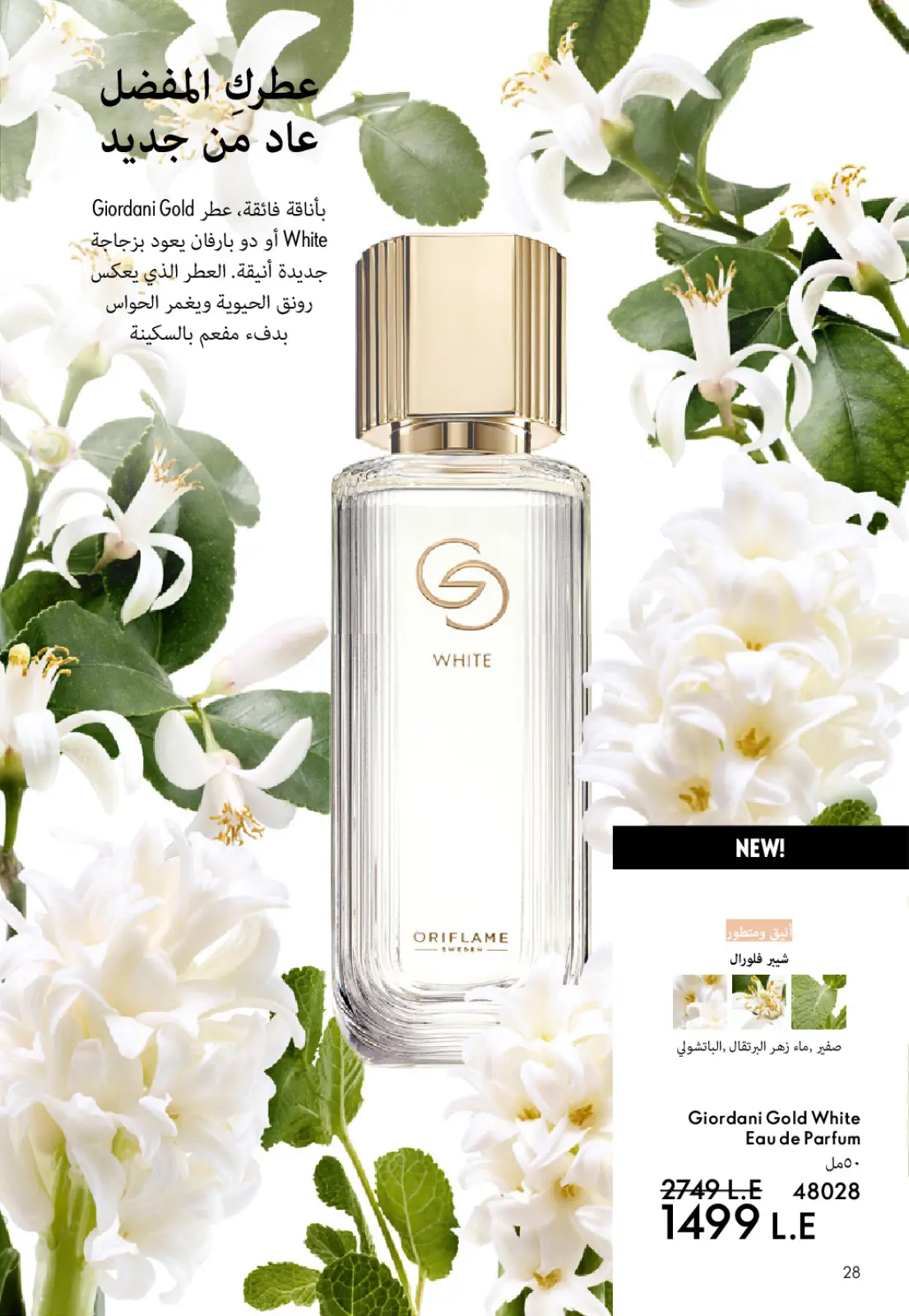 صفحة 29 ضمن كتالوج شهر يناير في اوريفليم مصر