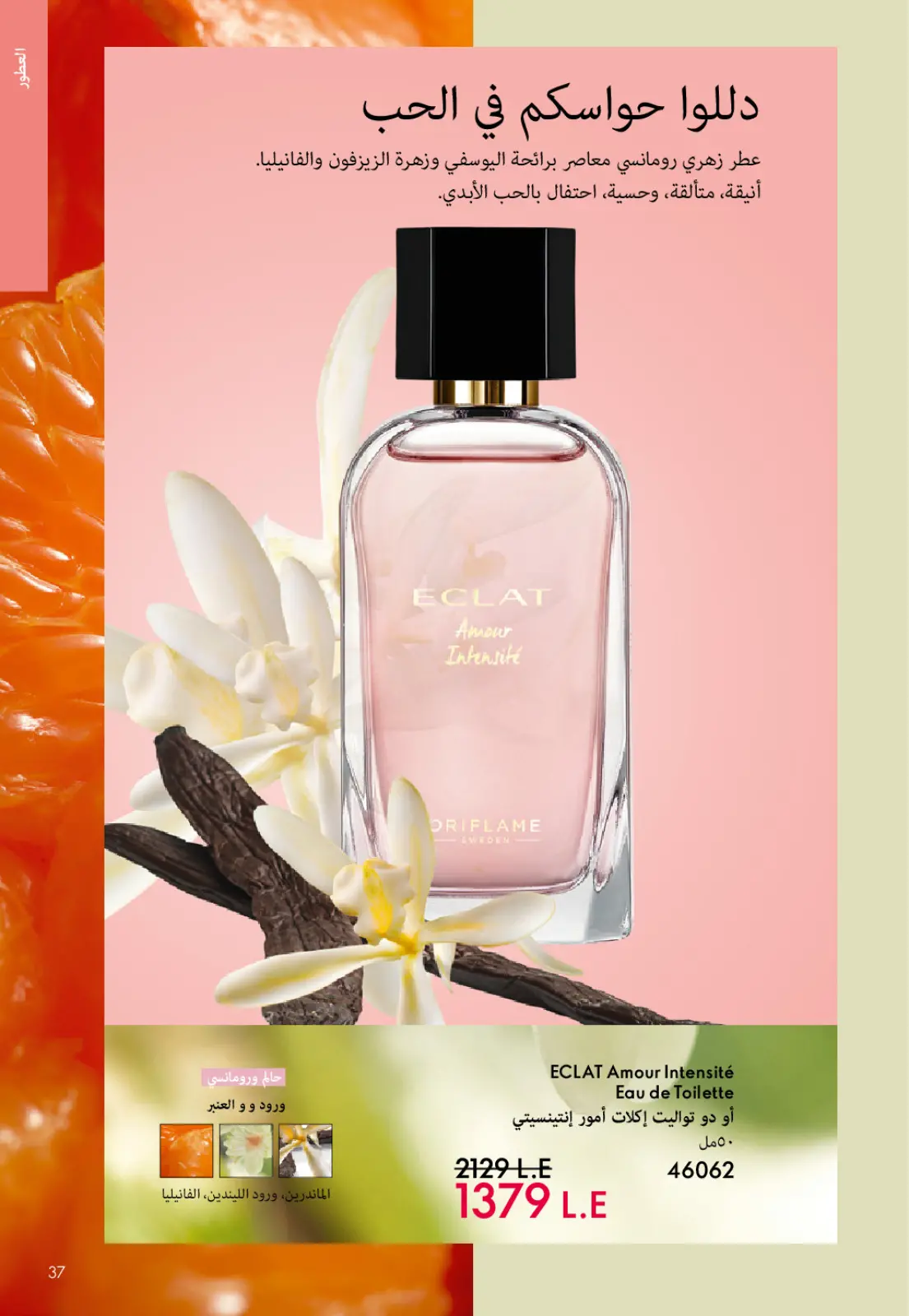 عروض اوريفليم مصر من 1 حتى 31 يناير 2026 كتالوج شهر يناير - صفحة 36