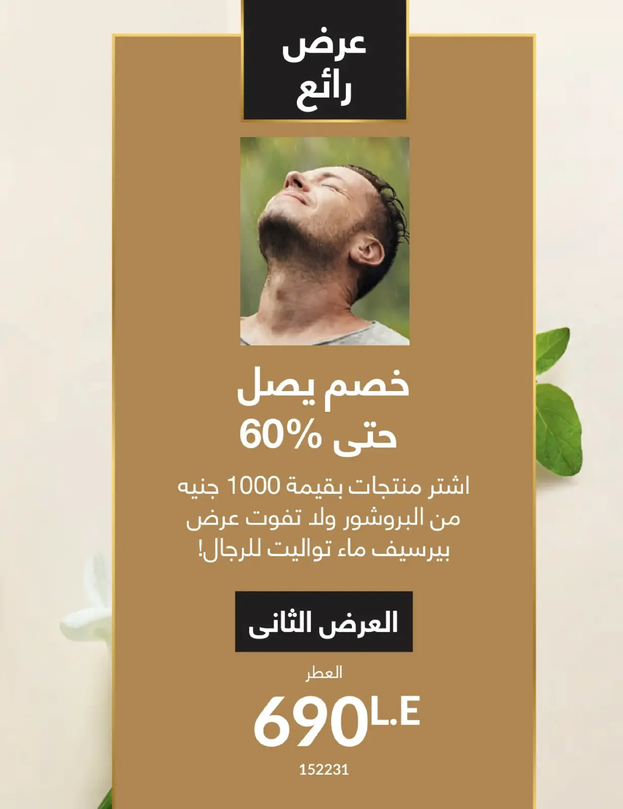 صفحة 17 ضمن كتالوج شهر يناير في أفون مصر