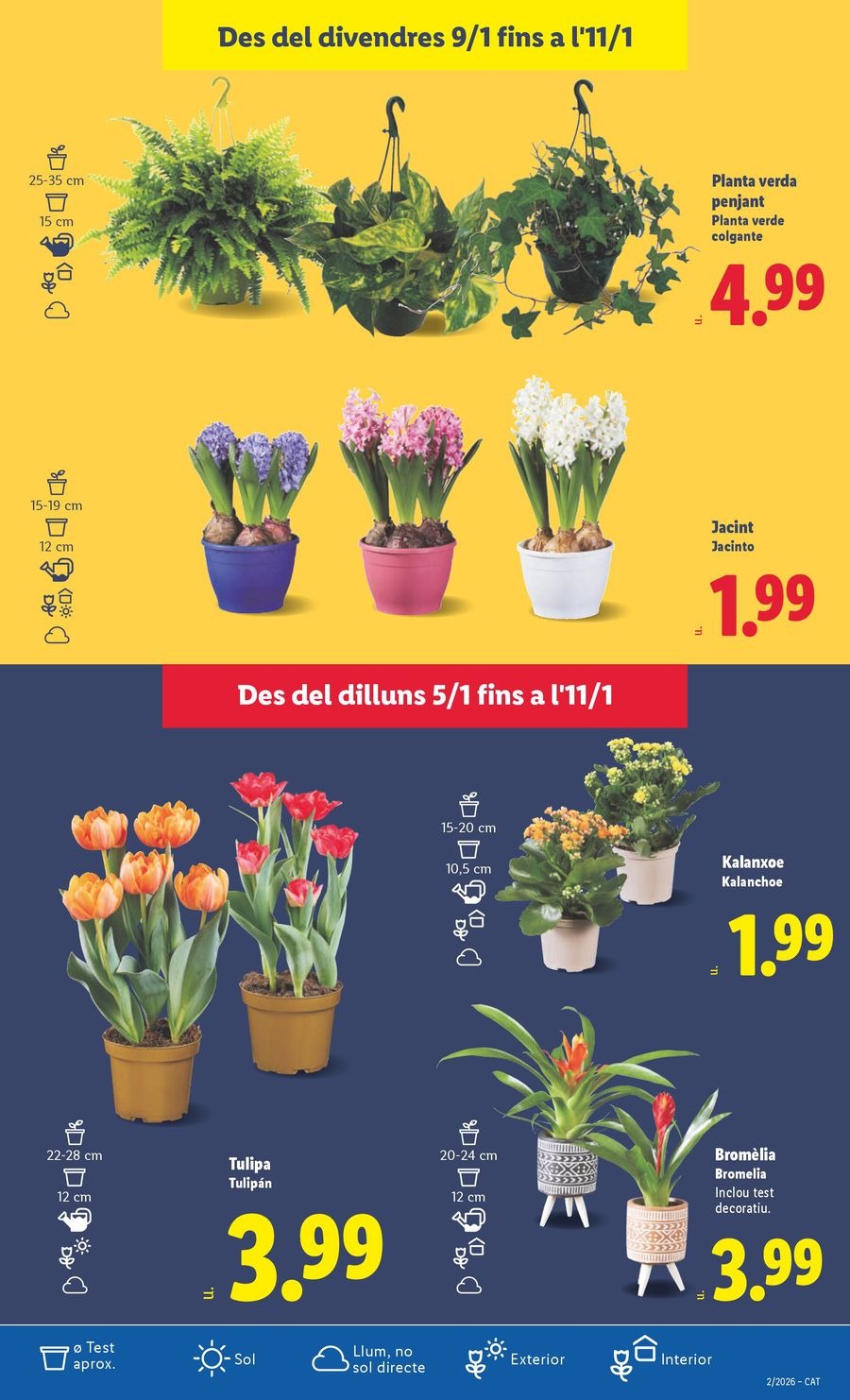 Ofertas de Lidl España de 5 a 11 enero 2026 Ofertas XXL