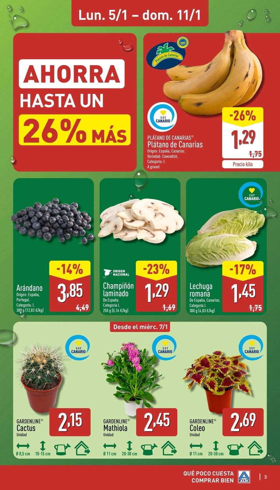 ALDI Spain Offers from 5 to 11 January 2026 How little it costs to buy well!