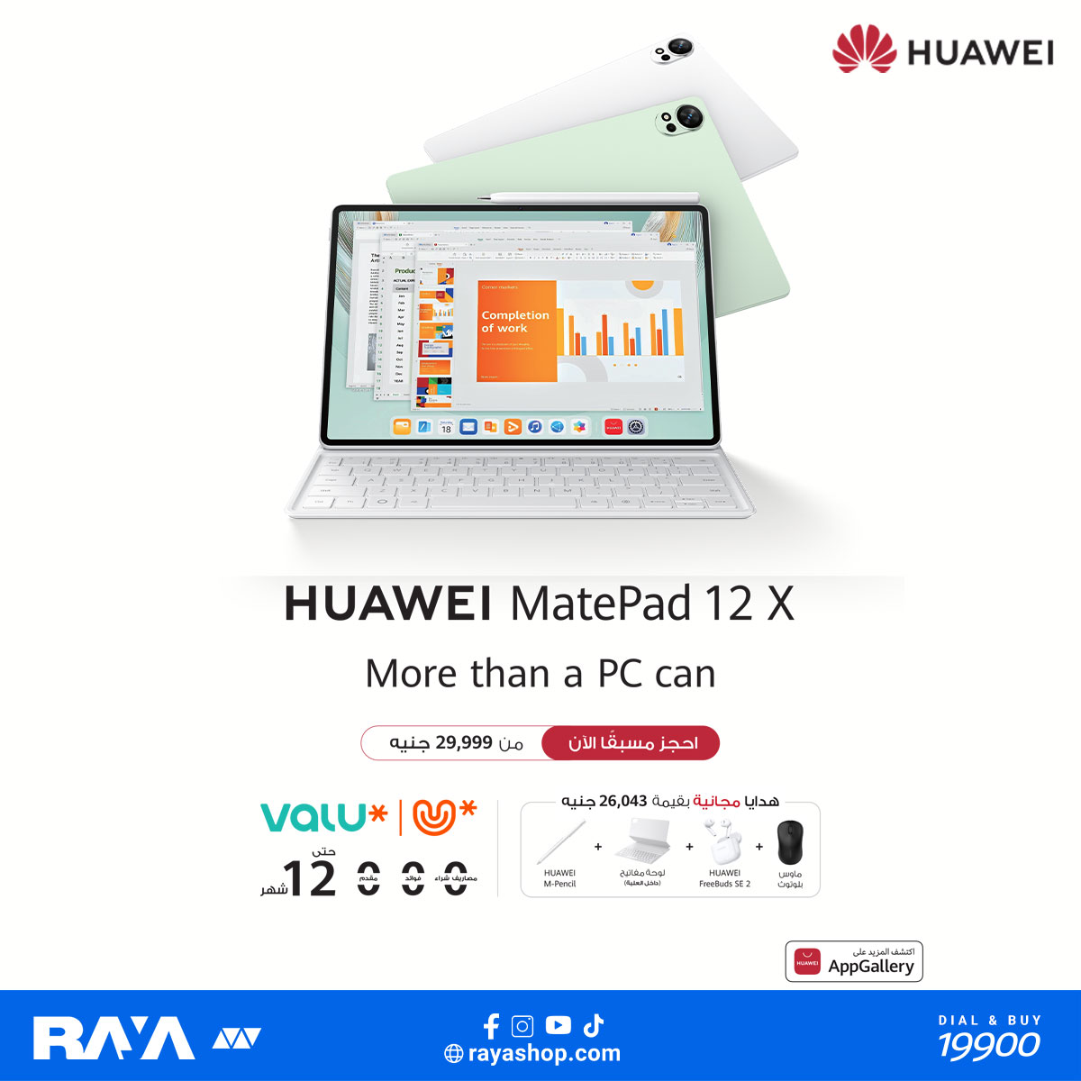 Raya Shop Egypt Offers from 3 to 9 January 2026 January Festival Offers