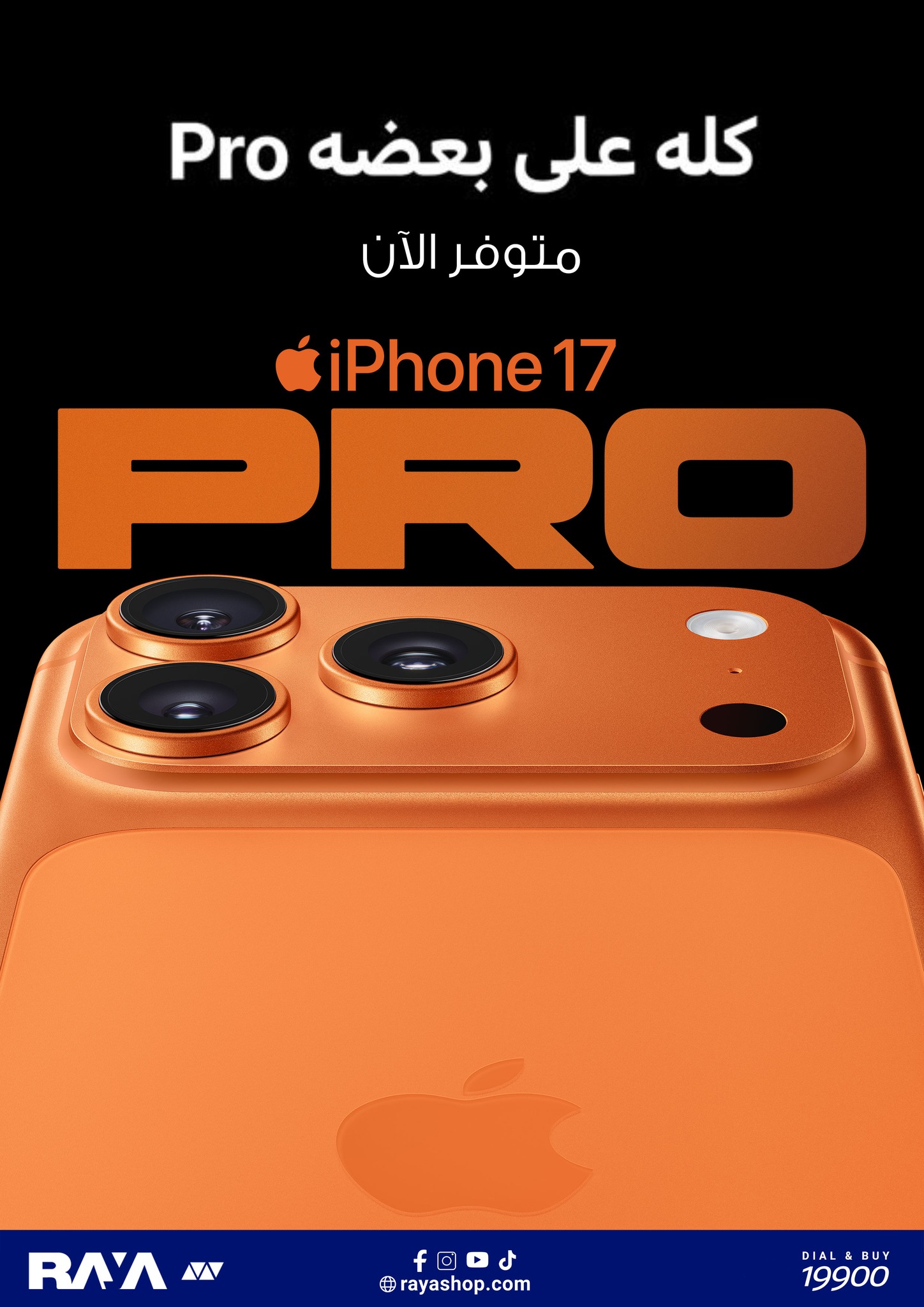 Raya Shop Egypt Offers from 3 to 9 January 2026 January Festival Offers