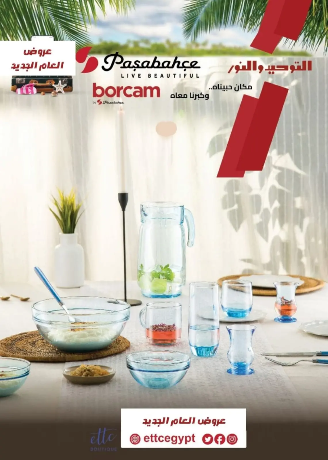 صفحة 59 ضمن عروض يناير في التوحيد والنور مصر