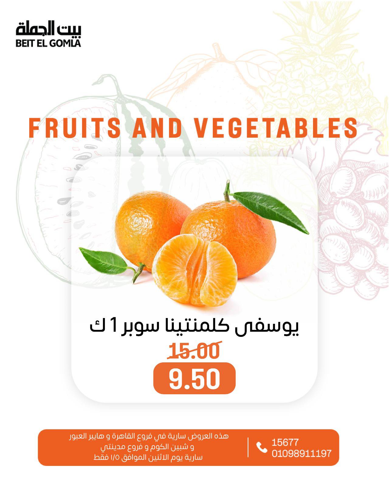 عروض بيت الجملة مصر الاثنين 5 يناير 2026 عروض الخضار والفاكهة