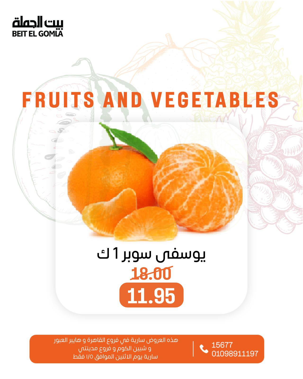 عروض بيت الجملة مصر الاثنين 5 يناير 2026 عروض الخضار والفاكهة