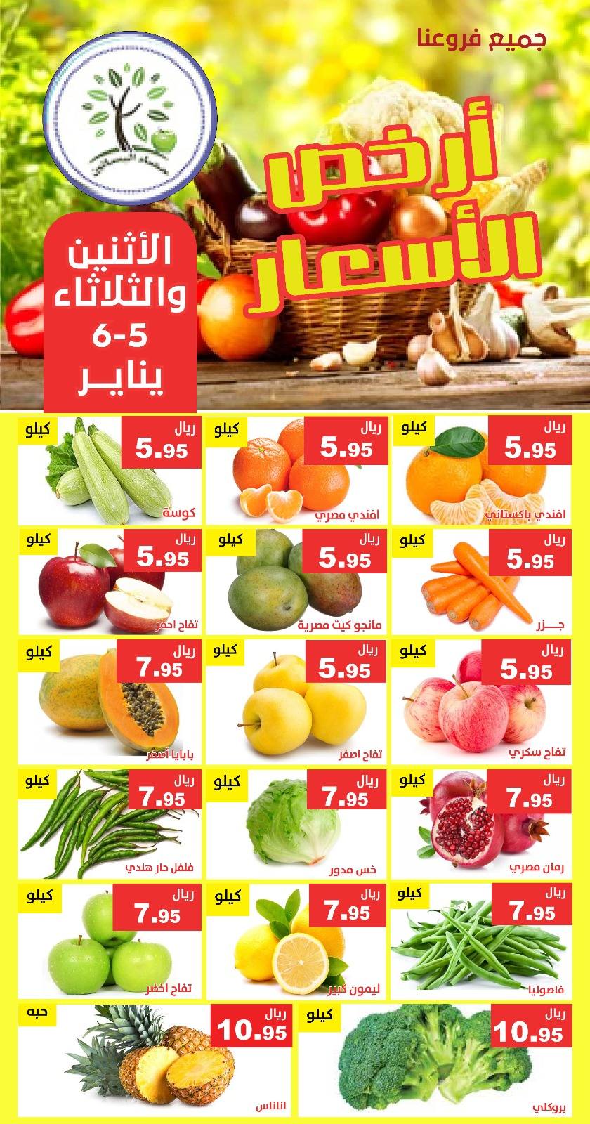 Hasad Albasatin Saudi Arabia Offers from 5 to 6 January 2026 Low Price - Page 1