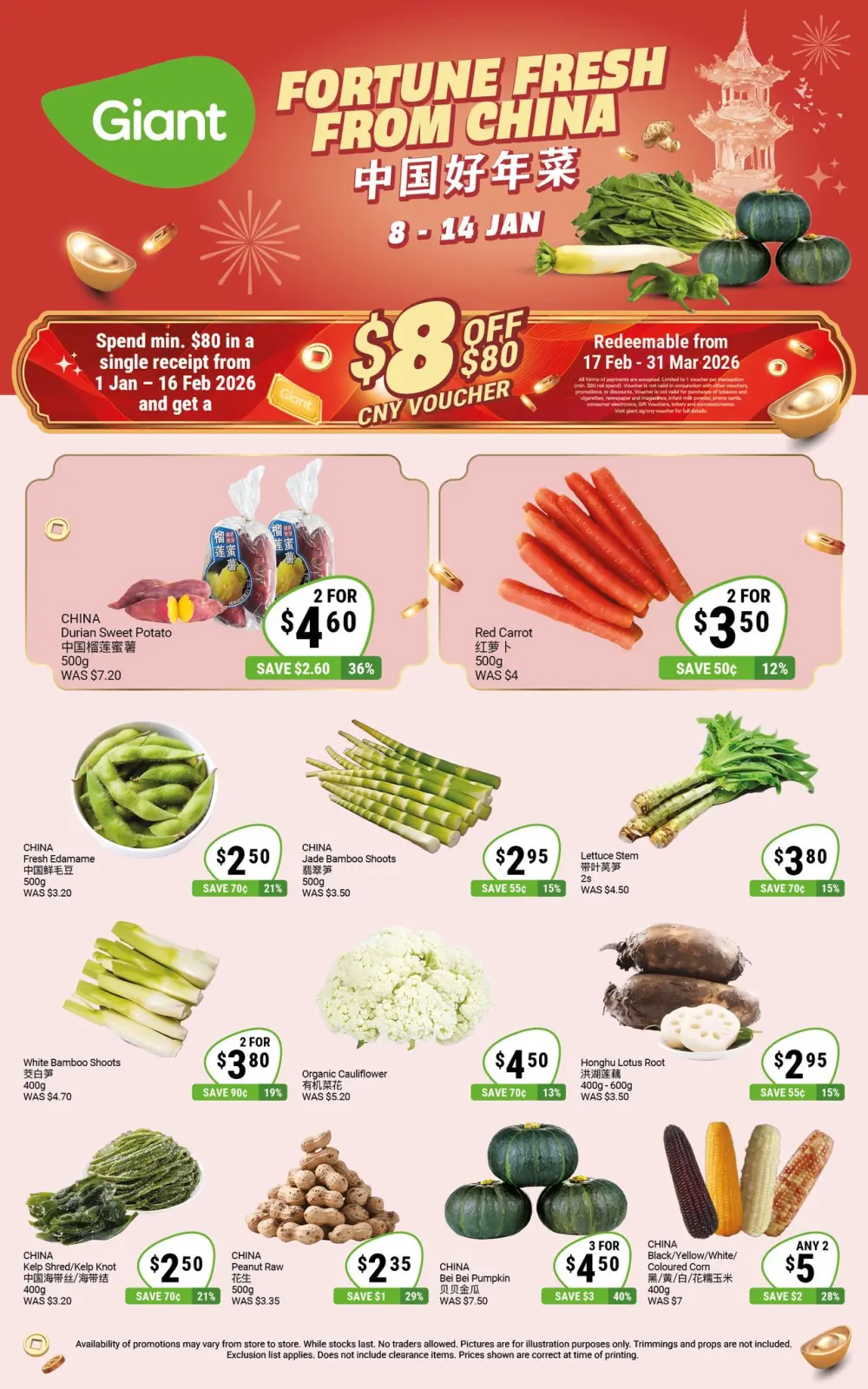 Page 2 in Super Savings at Giant Singapore
