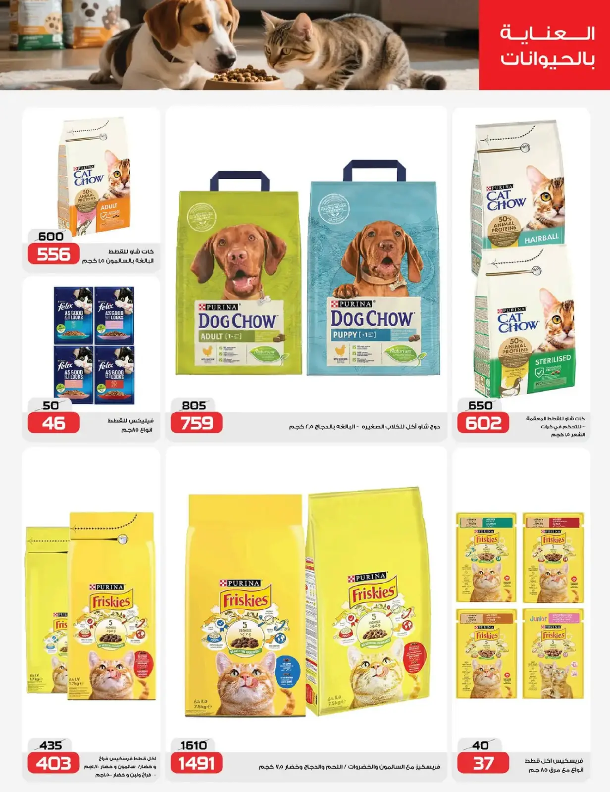 صفحة 21 ضمن رمضان شهر الخير في زهران ماركت مصر