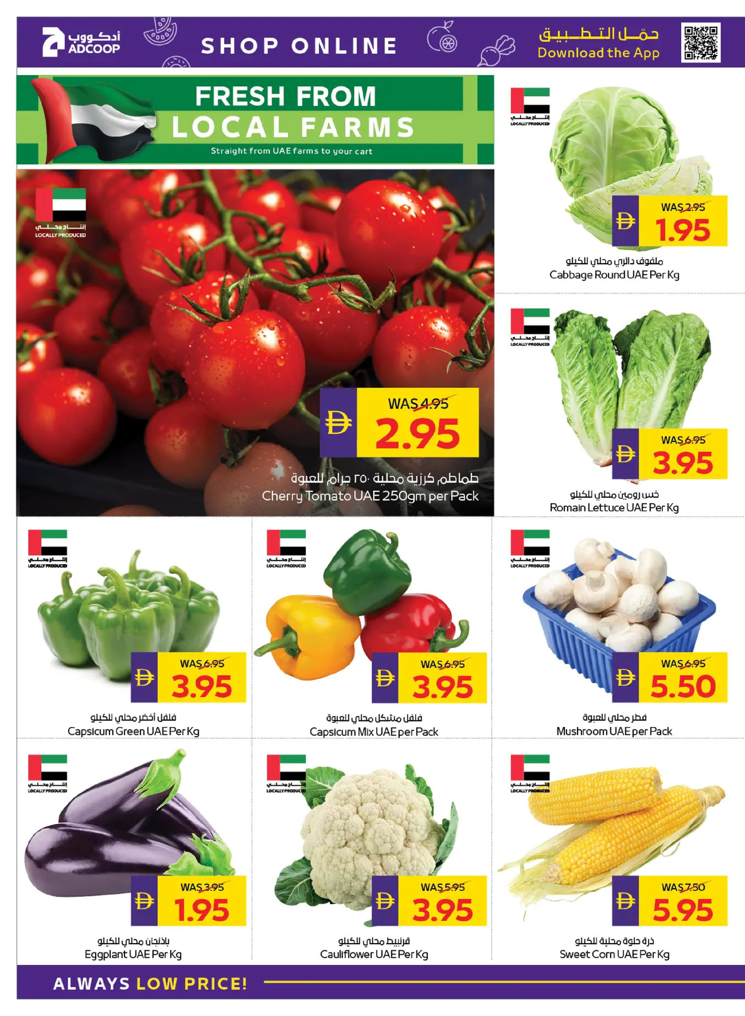 Abu Dhabi coop ADCOOP UAE Offers from 8 to 14 January 2026 Back to School Deals