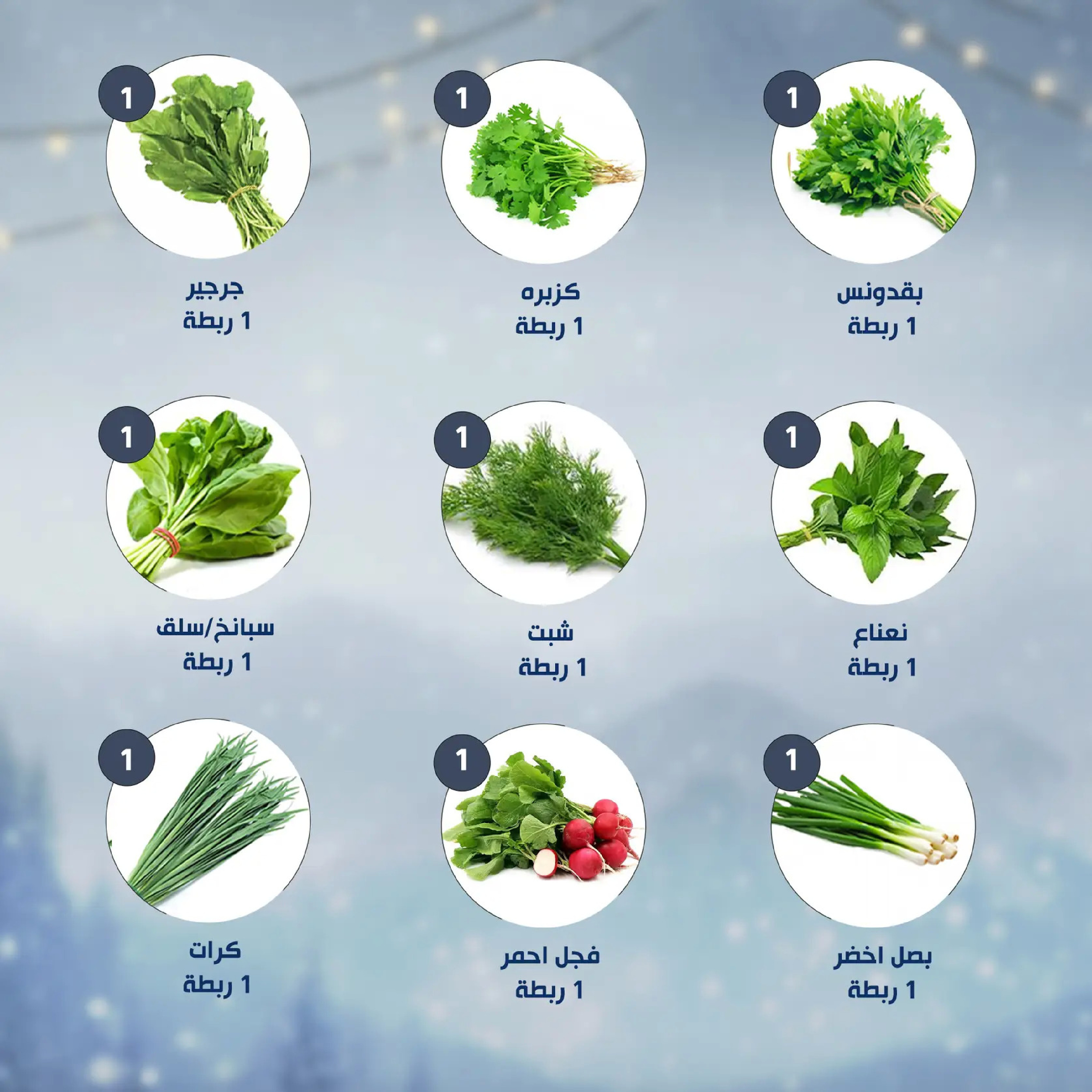 Alnahda almasria  Abu Dhabi  Offers from 9 to 15 January Weekly offers