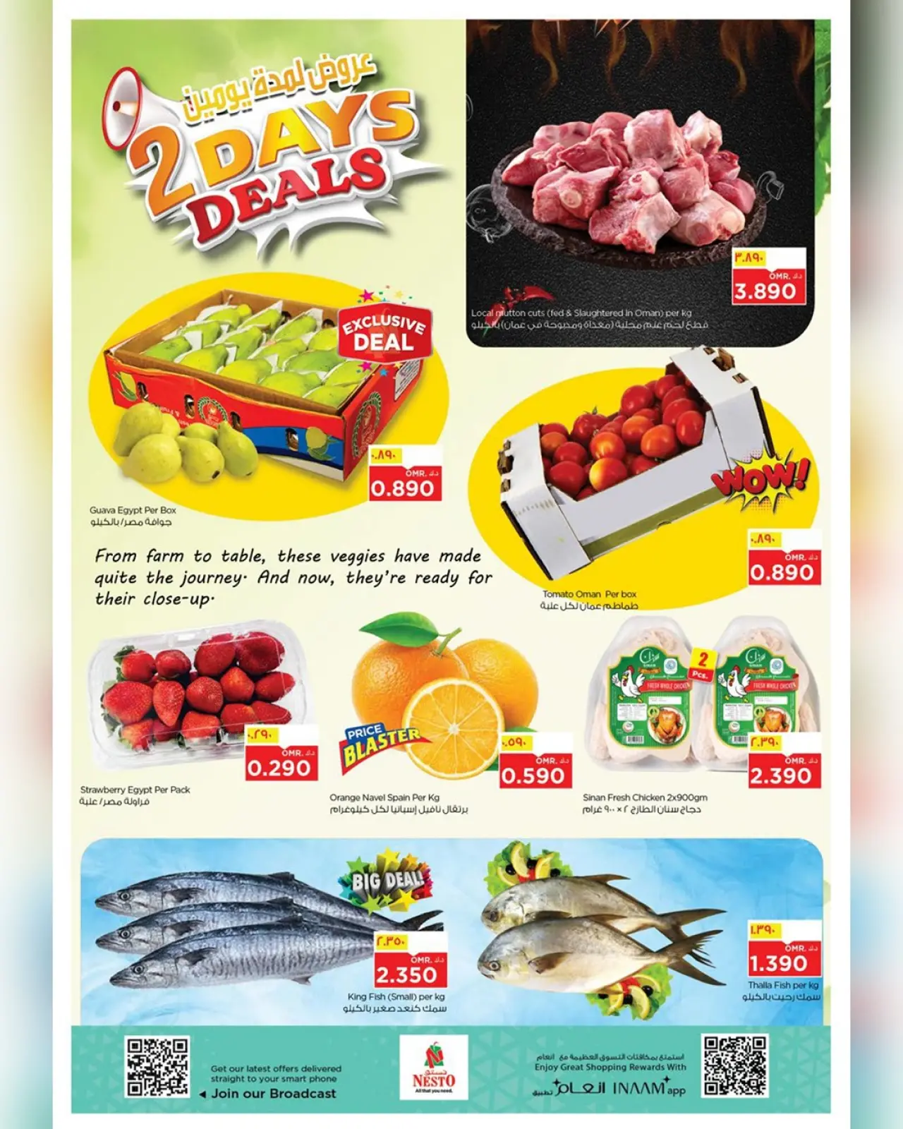 صفحة 2 ضمن عرض ضخم لمدة يومين في نستو عمان