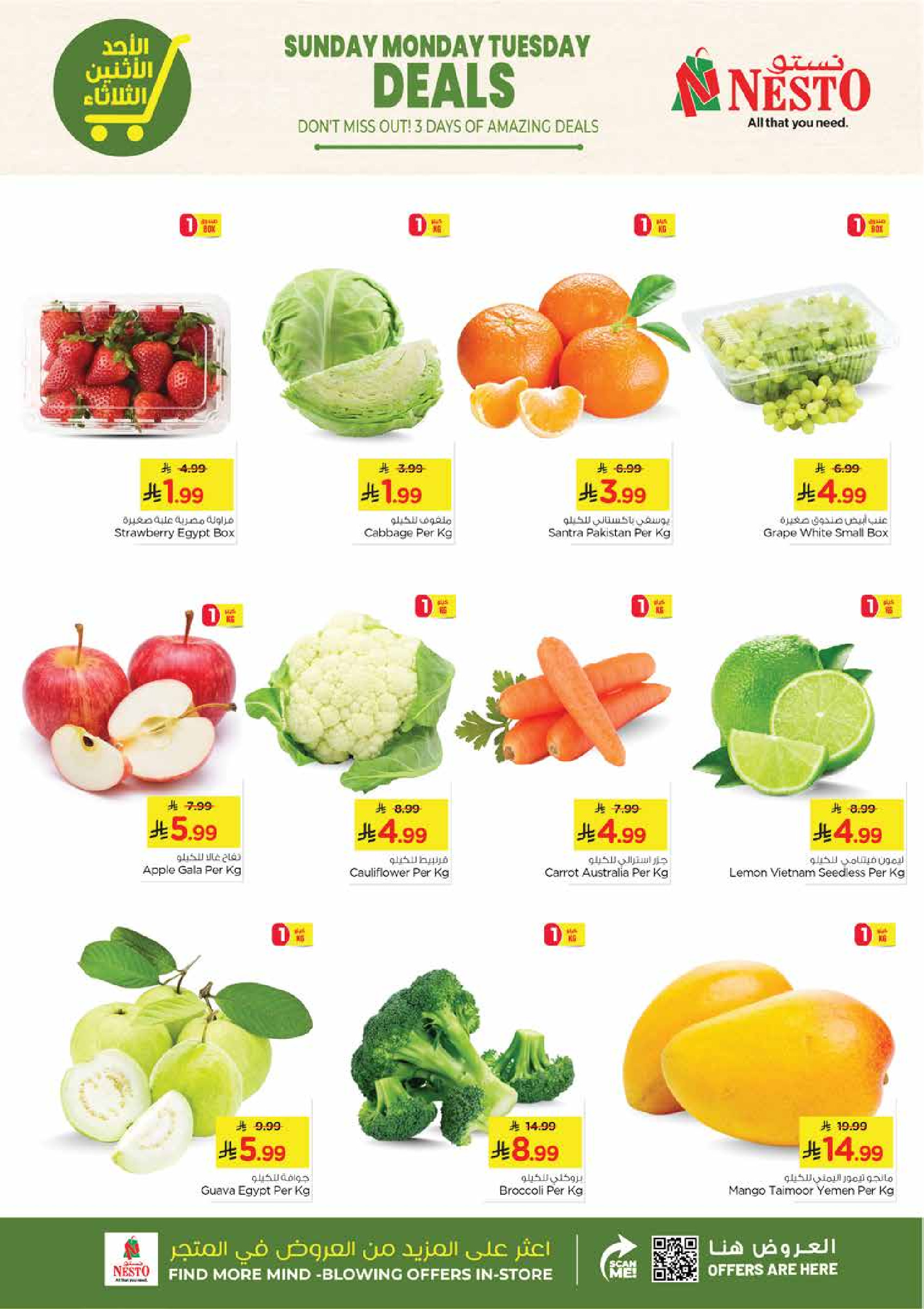 عروض نستو  الأحساء  من 11 حتى 13 يناير 2026 صفقات مذهلة