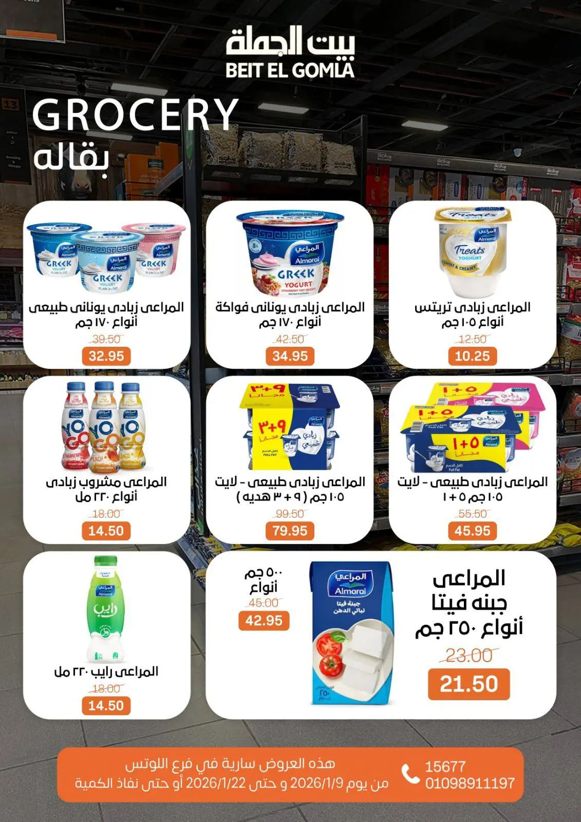 صفحة 55 ضمن عروض الإفتتاح في بيت الجملة مصر