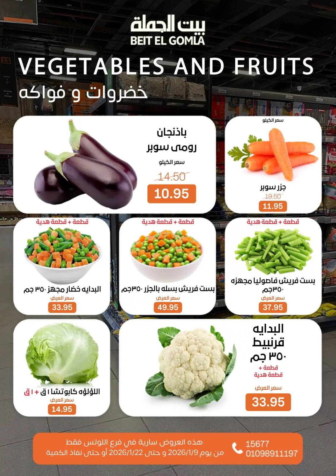 صفحة 14 ضمن عروض الإفتتاح في بيت الجملة مصر