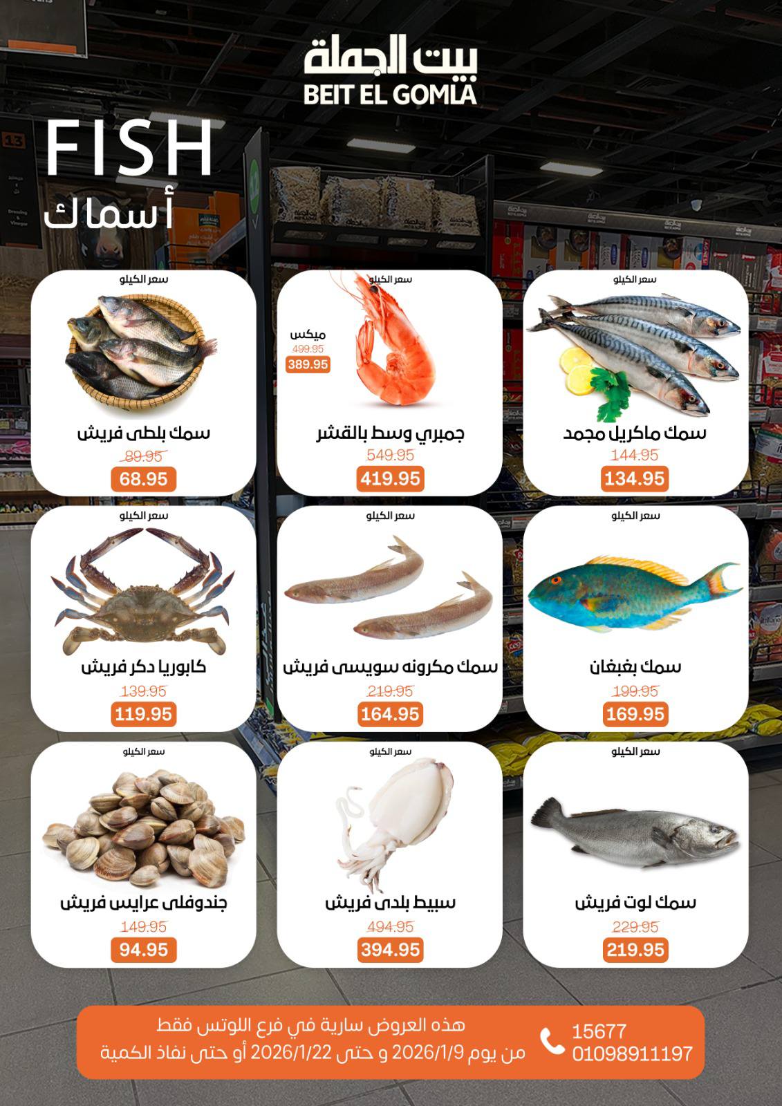 عروض بيت الجملة  مدينه نصر  من 9 حتى 22 يناير 2026 عروض الإفتتاح